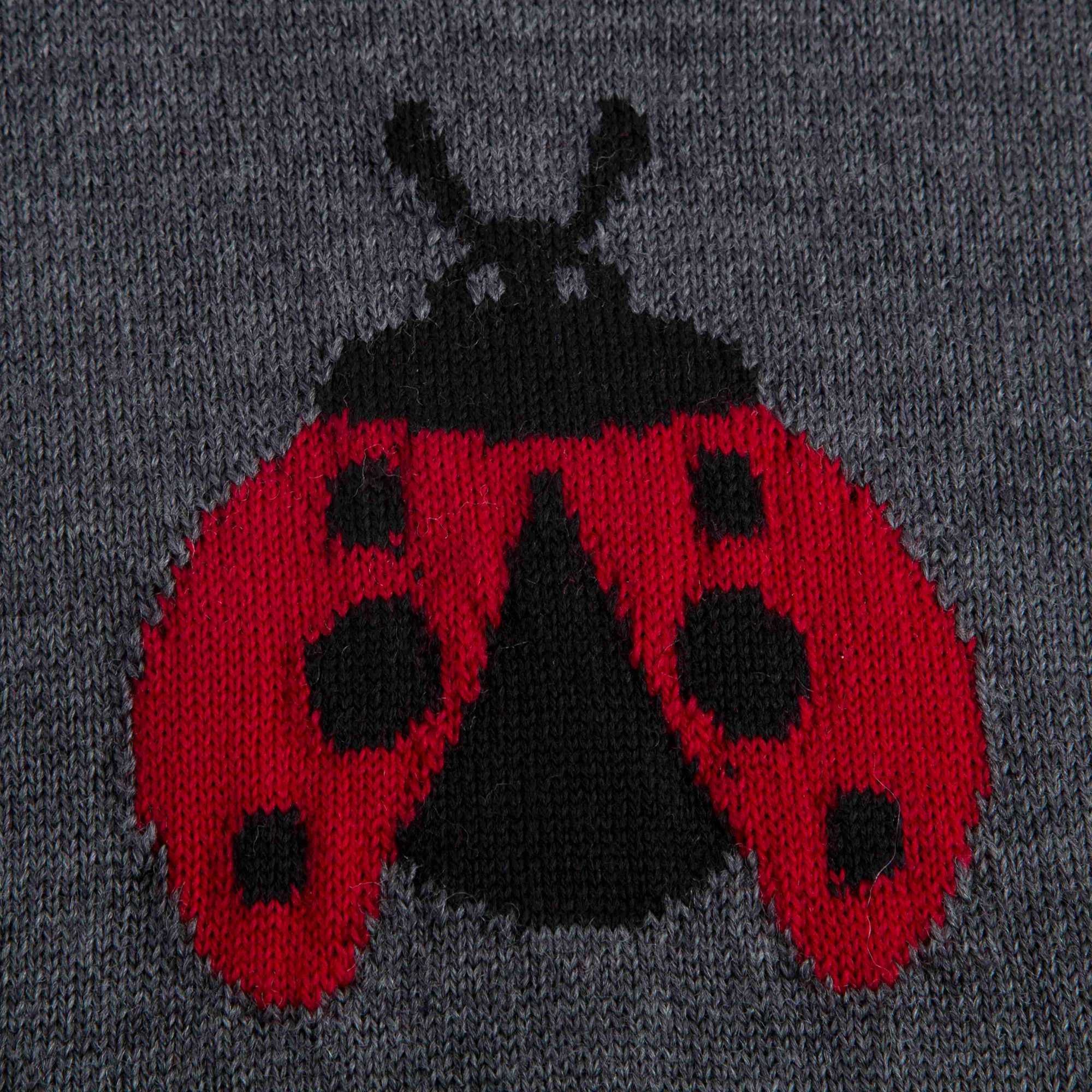 Girls Grey Ladybird Dress