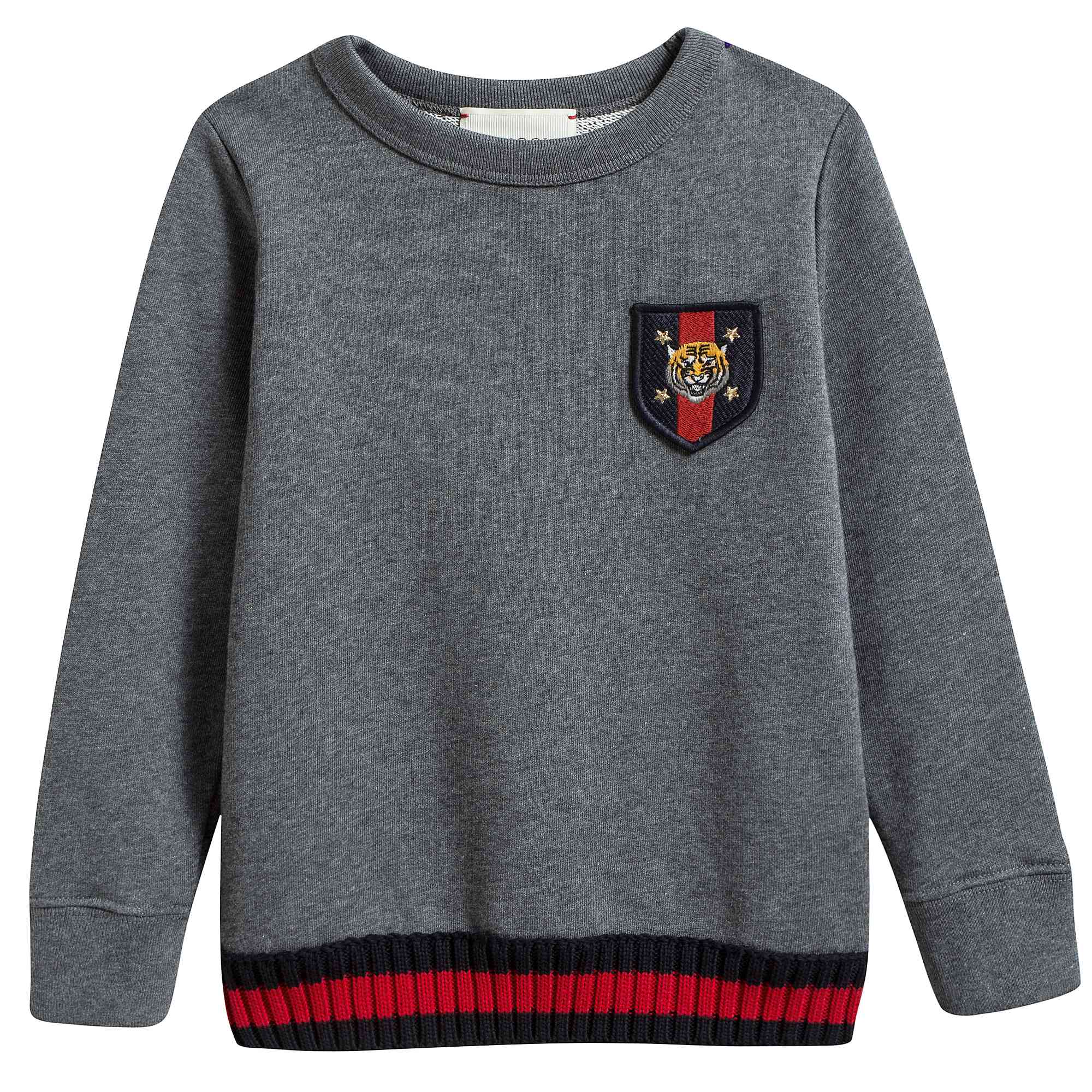Boys Grey Sweatshirt With Web