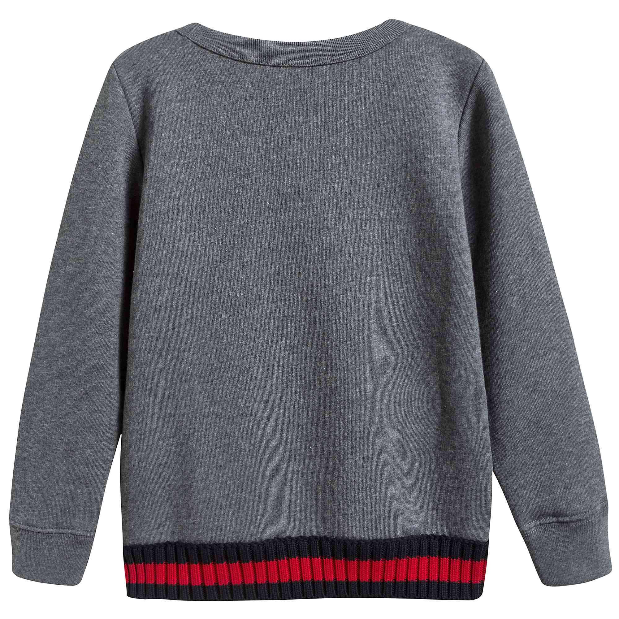 Boys Grey Sweatshirt With Web