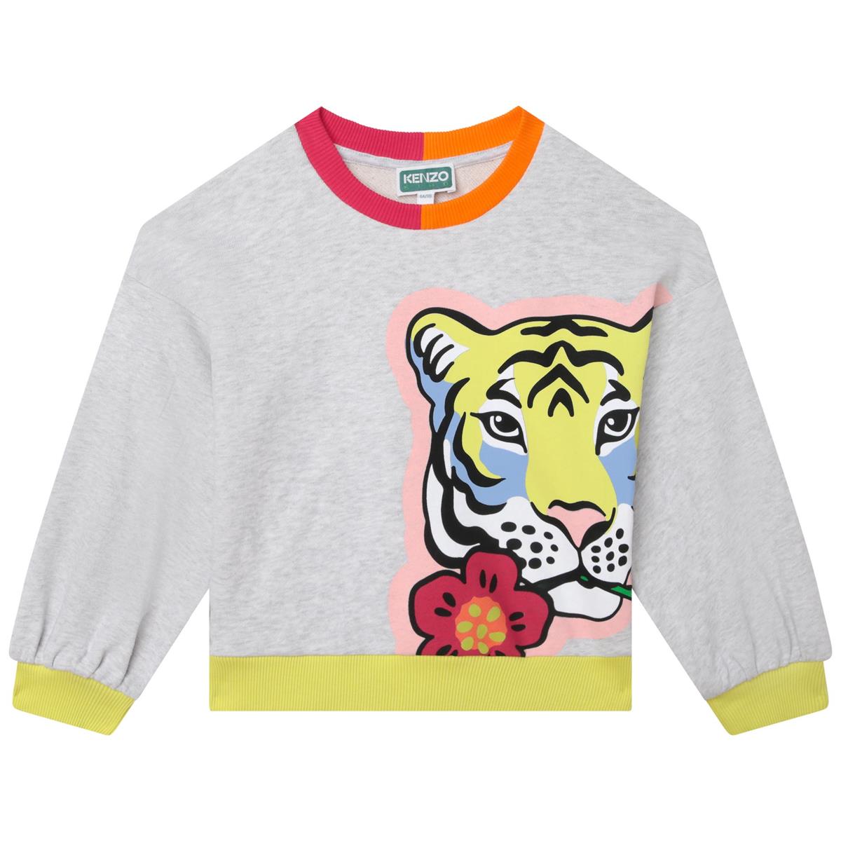 Girls Grey Printed Sweatshirt