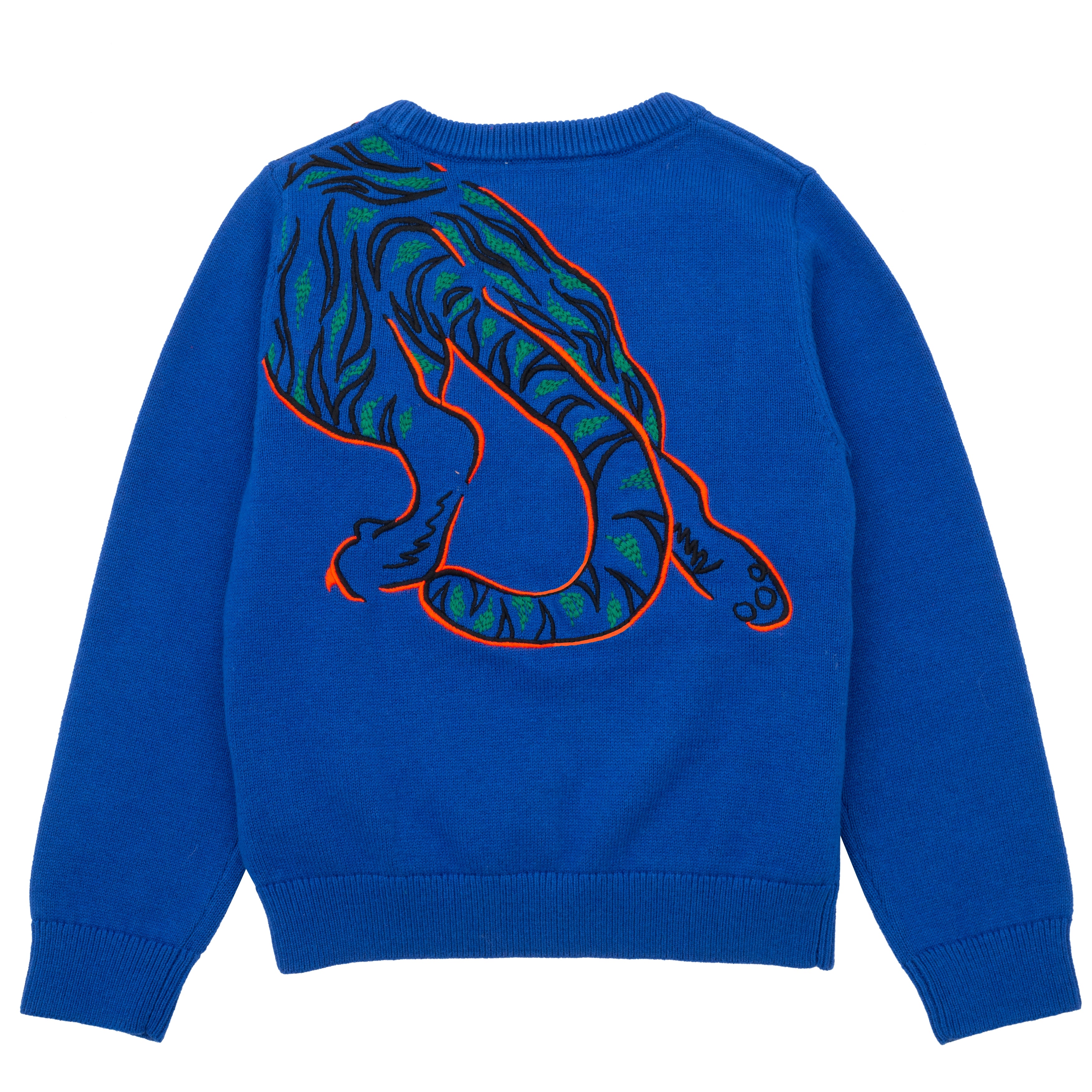Boys Blue Tiger Sweater