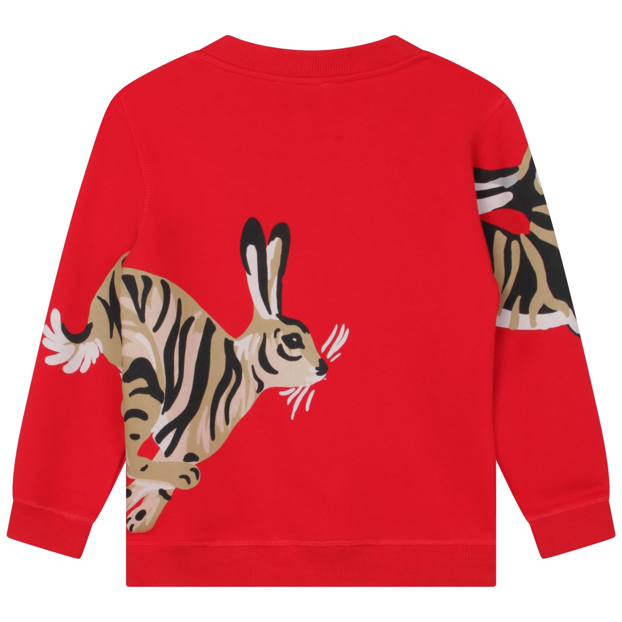 Boys Red Printed Cotton Sweatshirt