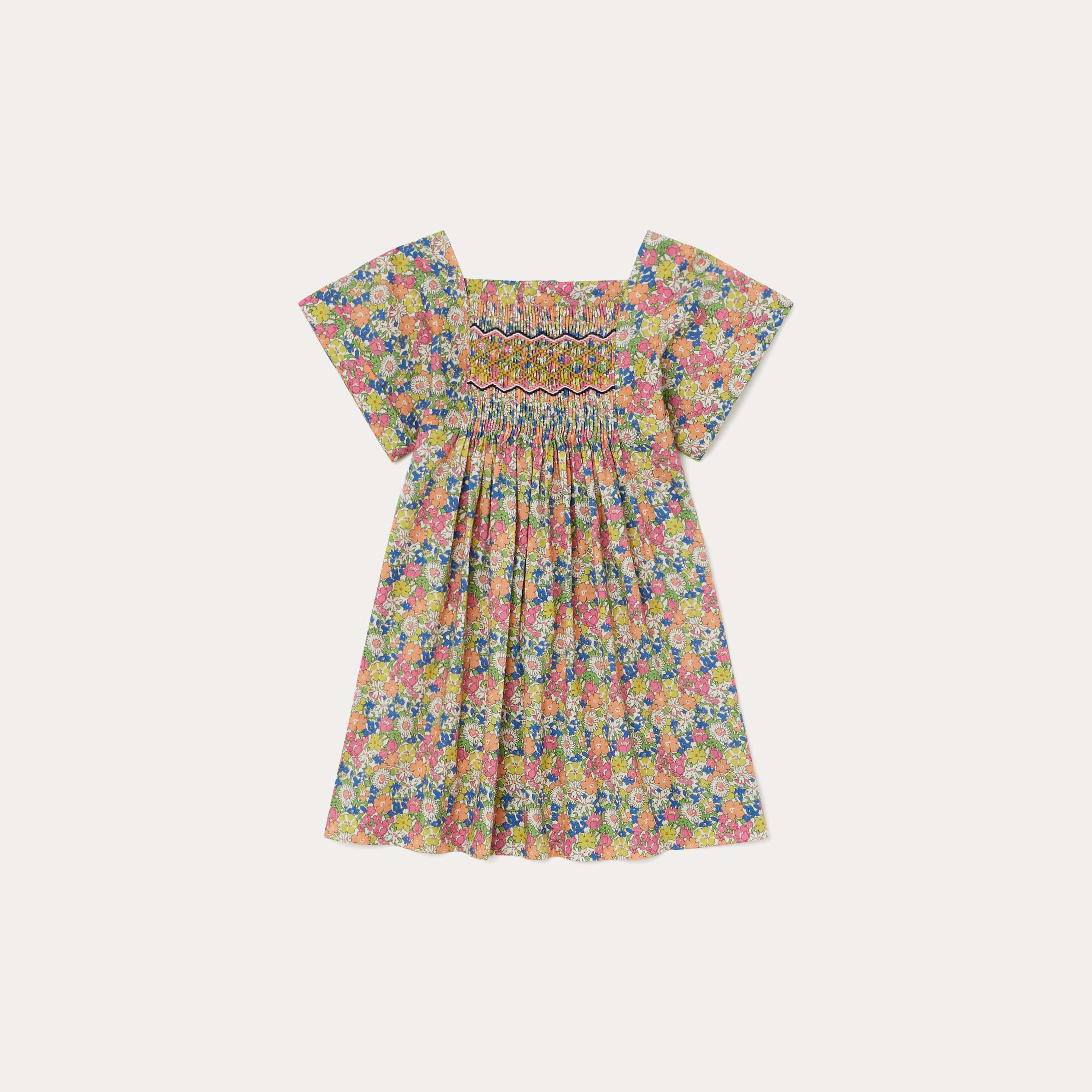 Baby Girls Multicolor Floral Dress