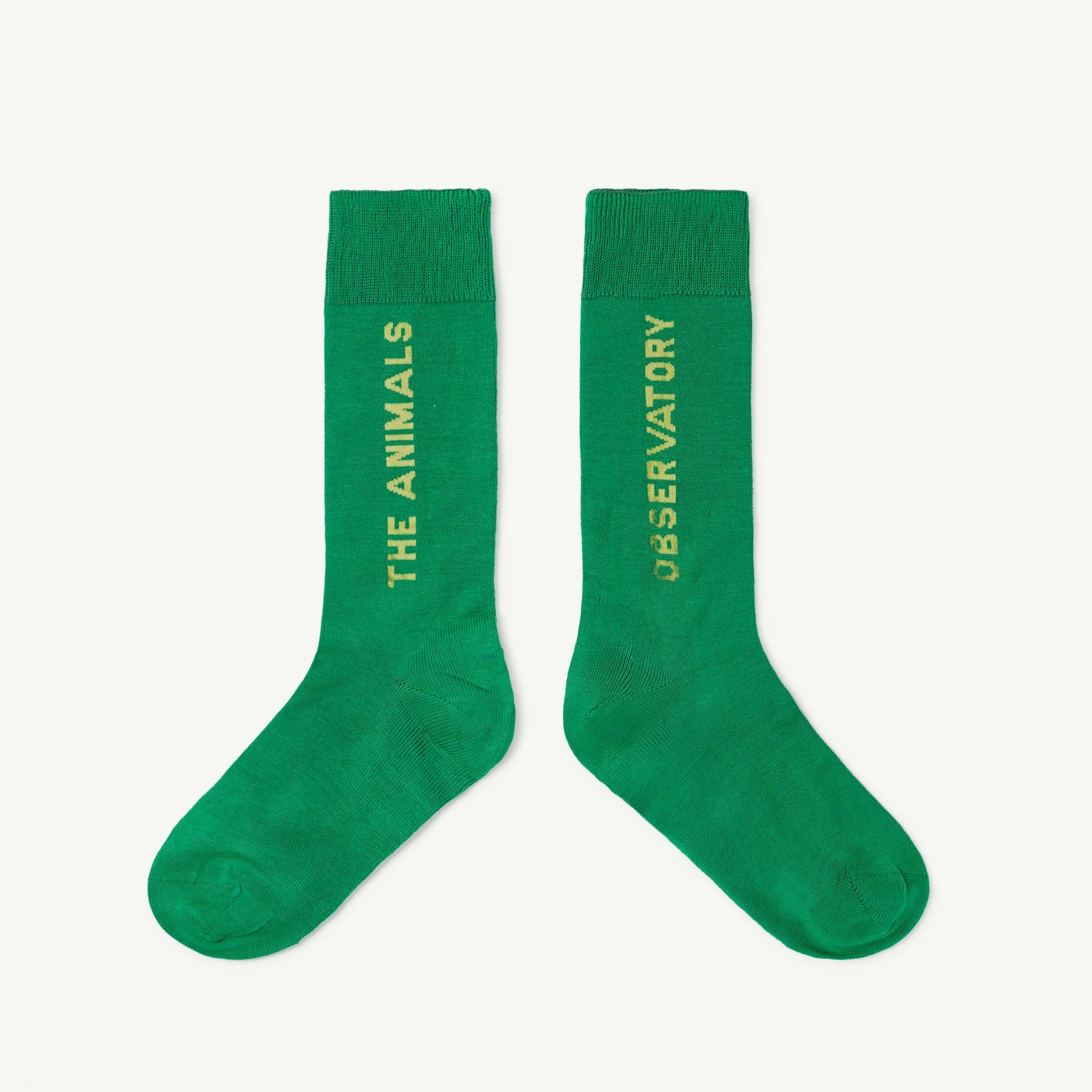 Boys & Girls Green Logo Cotton Socks