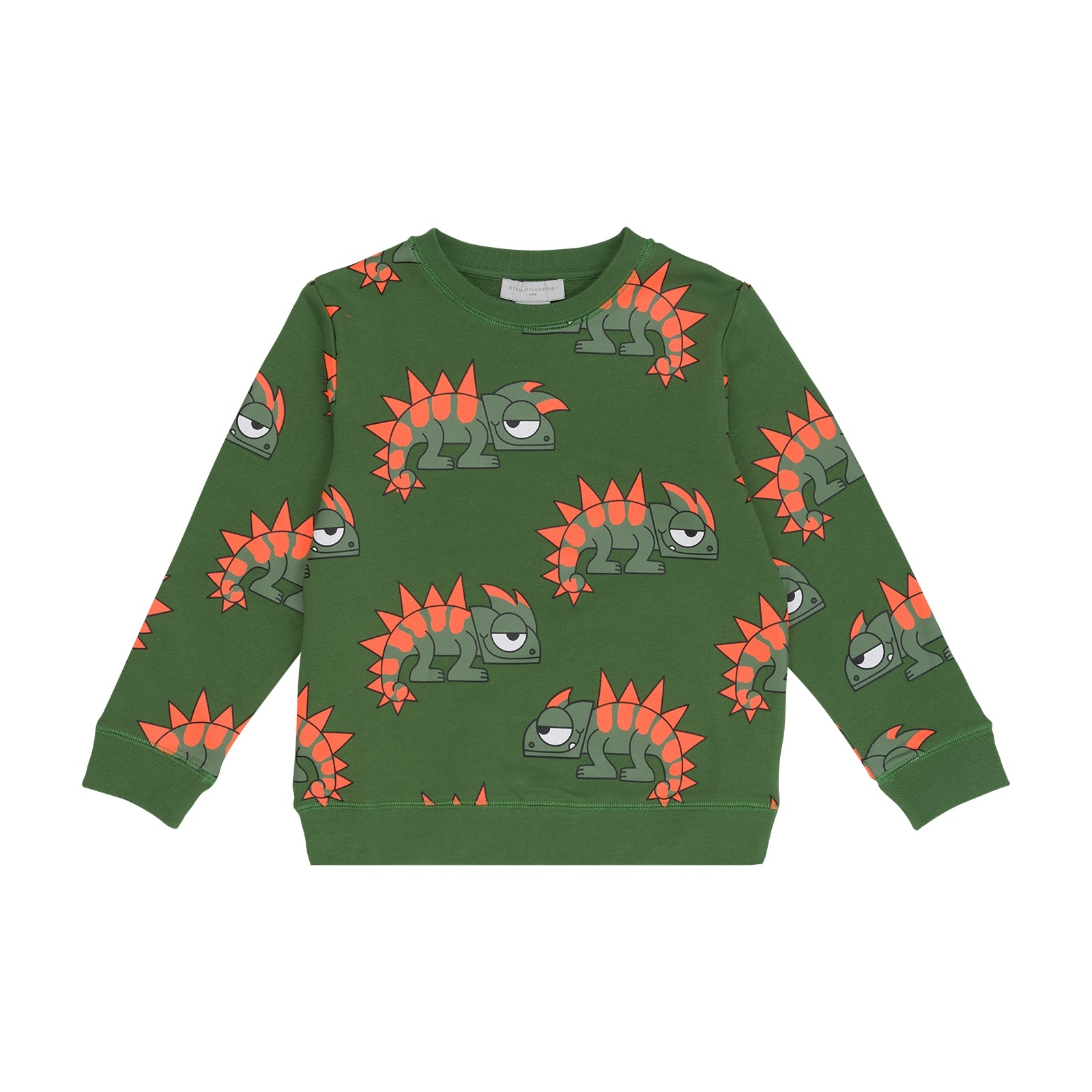 Boys Green Printed Cotton Sweatshirt