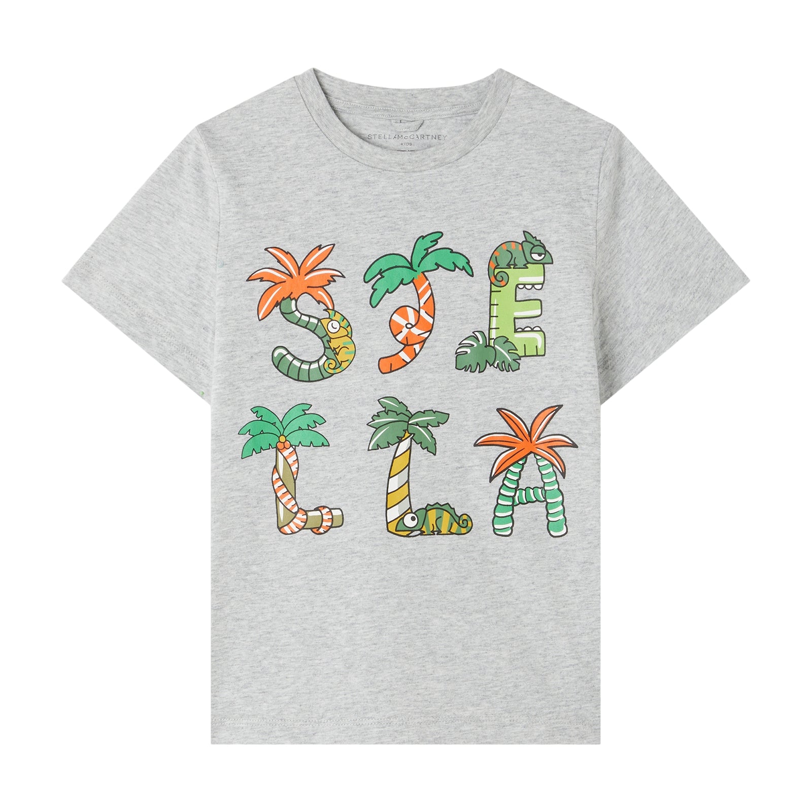 Boys Grey Printed Cotton T-Shirt