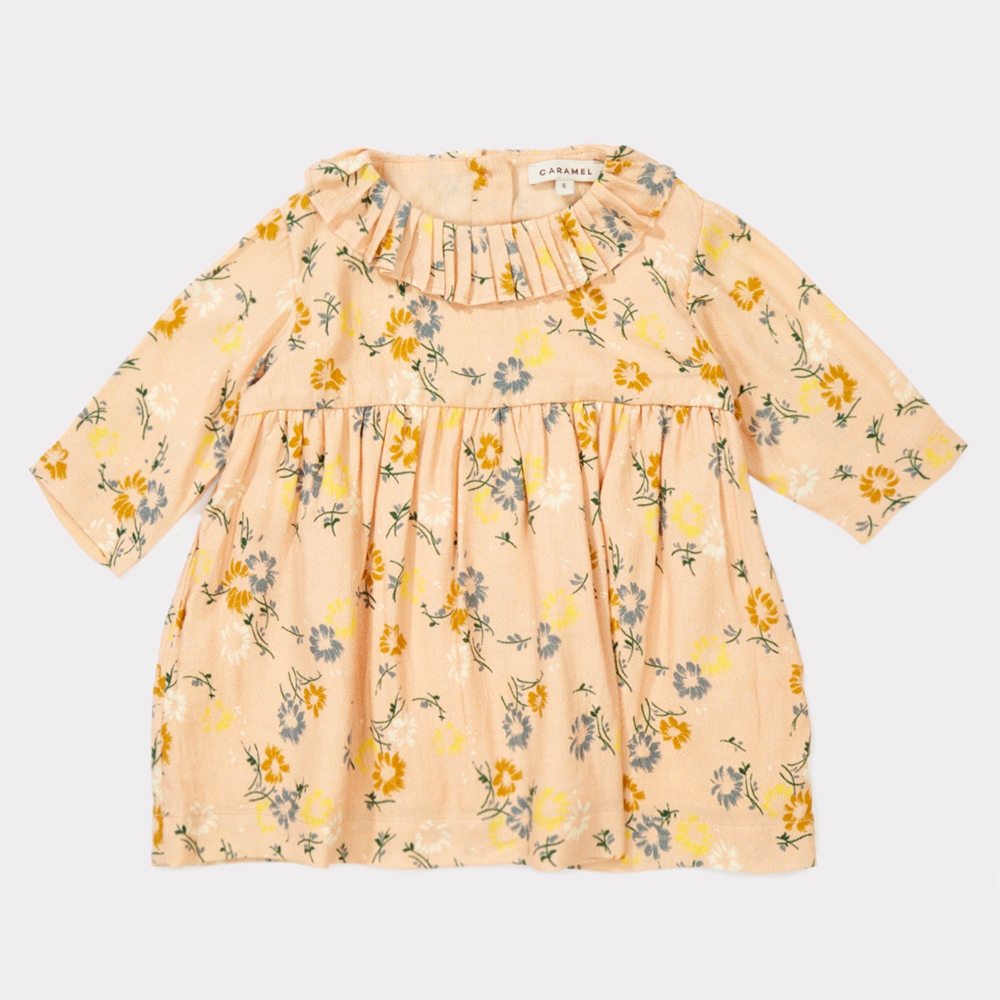 Baby Girls Blush Painted Flower Woven Dress