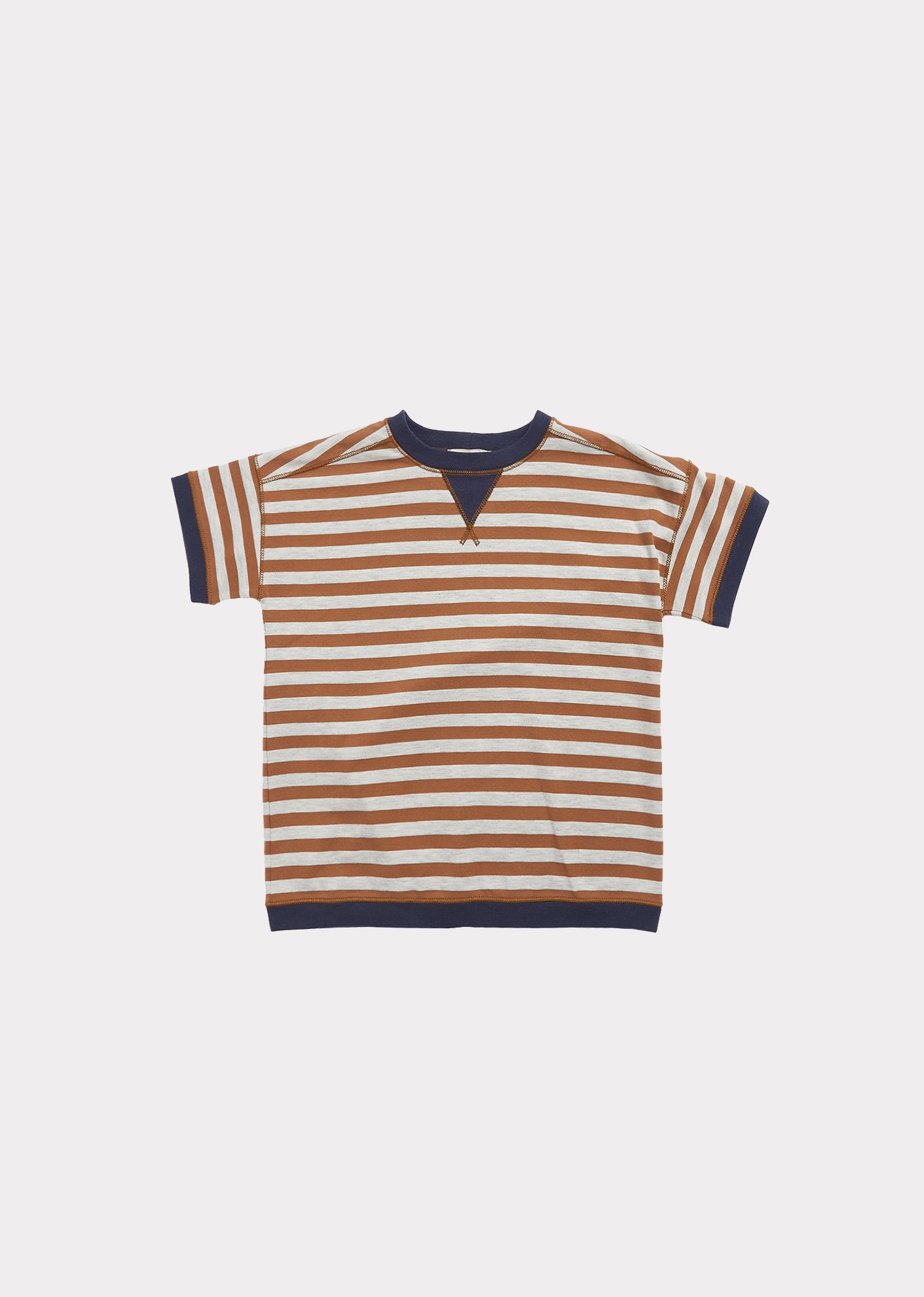 Boys Brown Stripe Cotton T-shirt