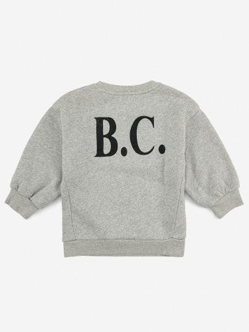 Boys & Girls Grey Sweatshirt