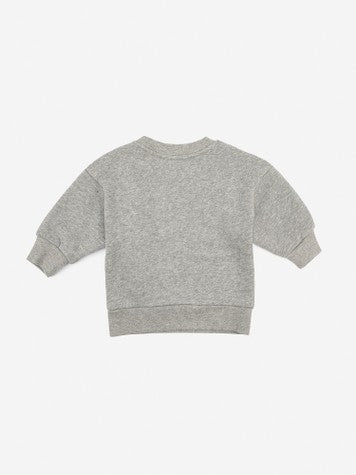 Baby Boys & Girls Grey Sweatshirt
