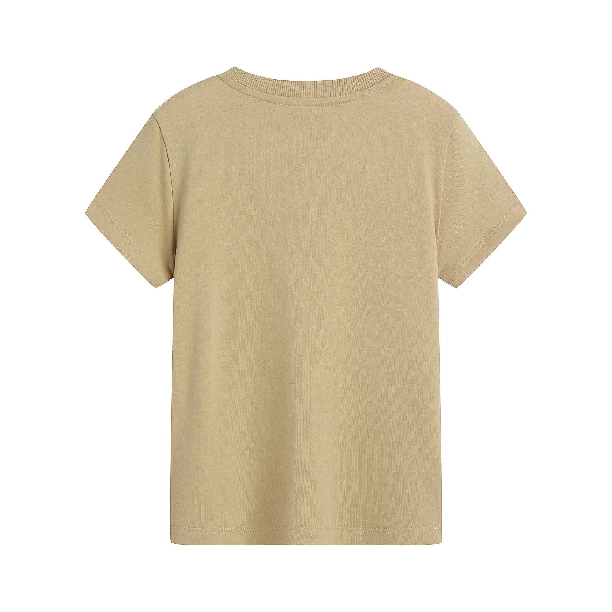 Boys Brown Cotton T-Shirt