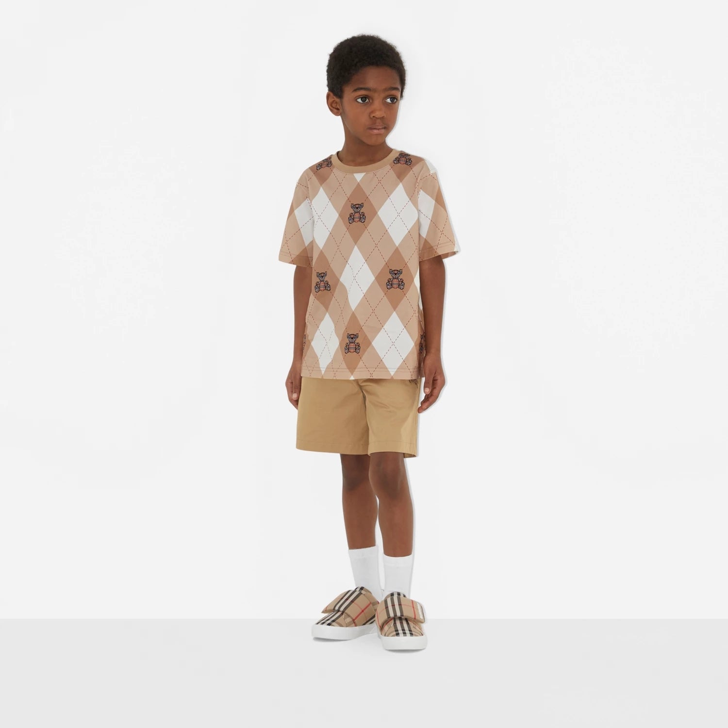 Boys Brown Printed Cotton T-Shirt