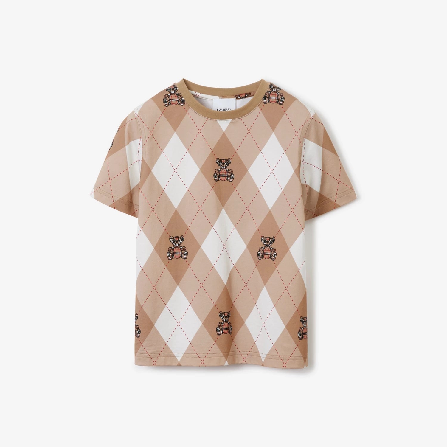 Boys Brown Printed Cotton T-Shirt