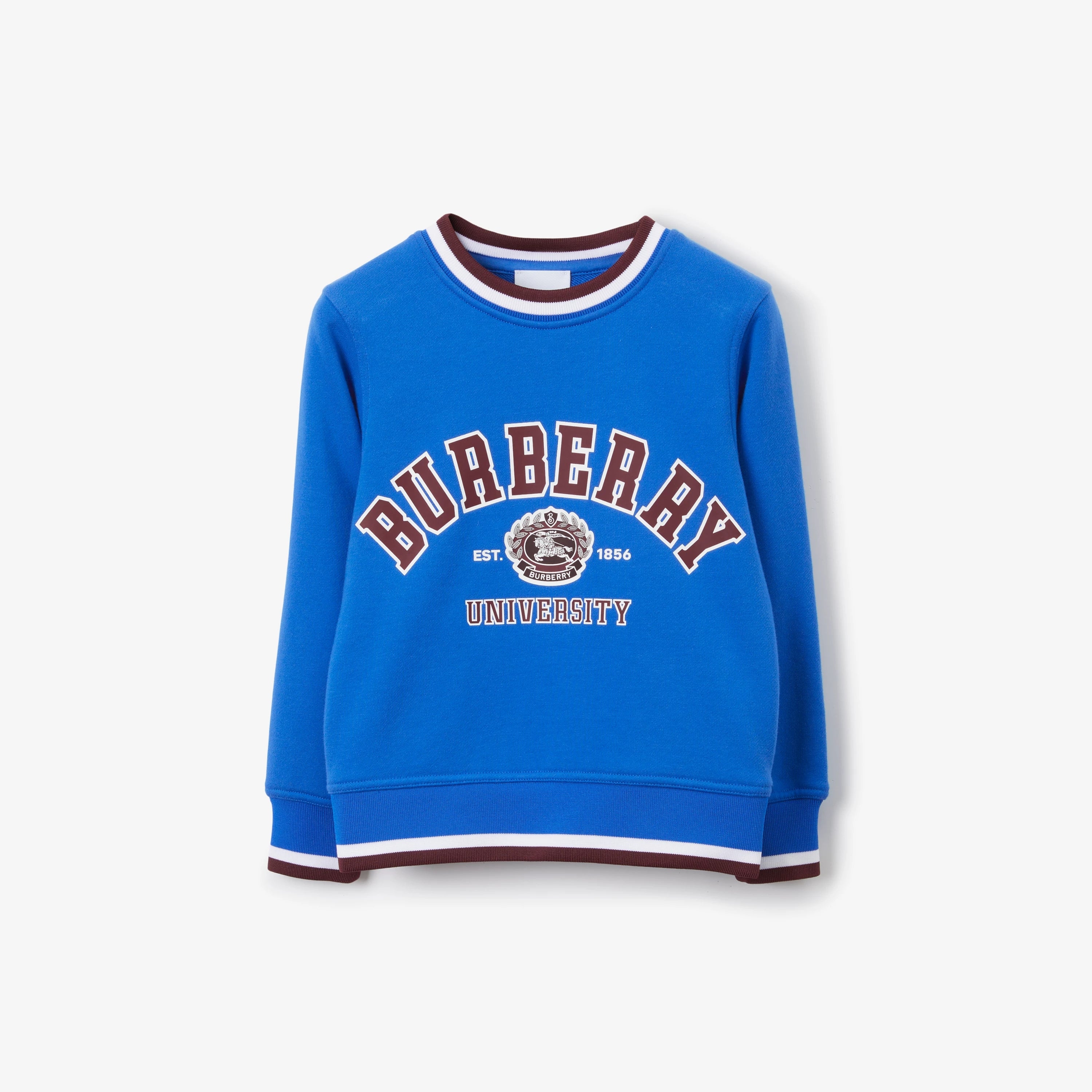 Boys & Girls Blue Logo Cotton Sweatshirt