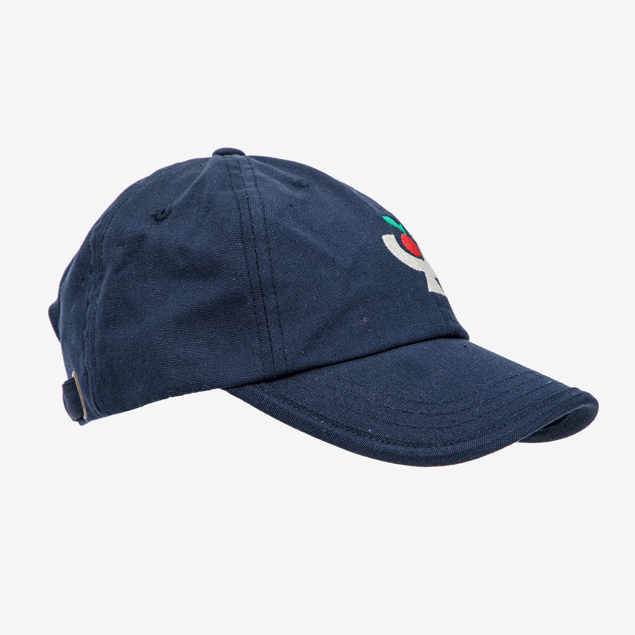Women Blue Embroidered Cap