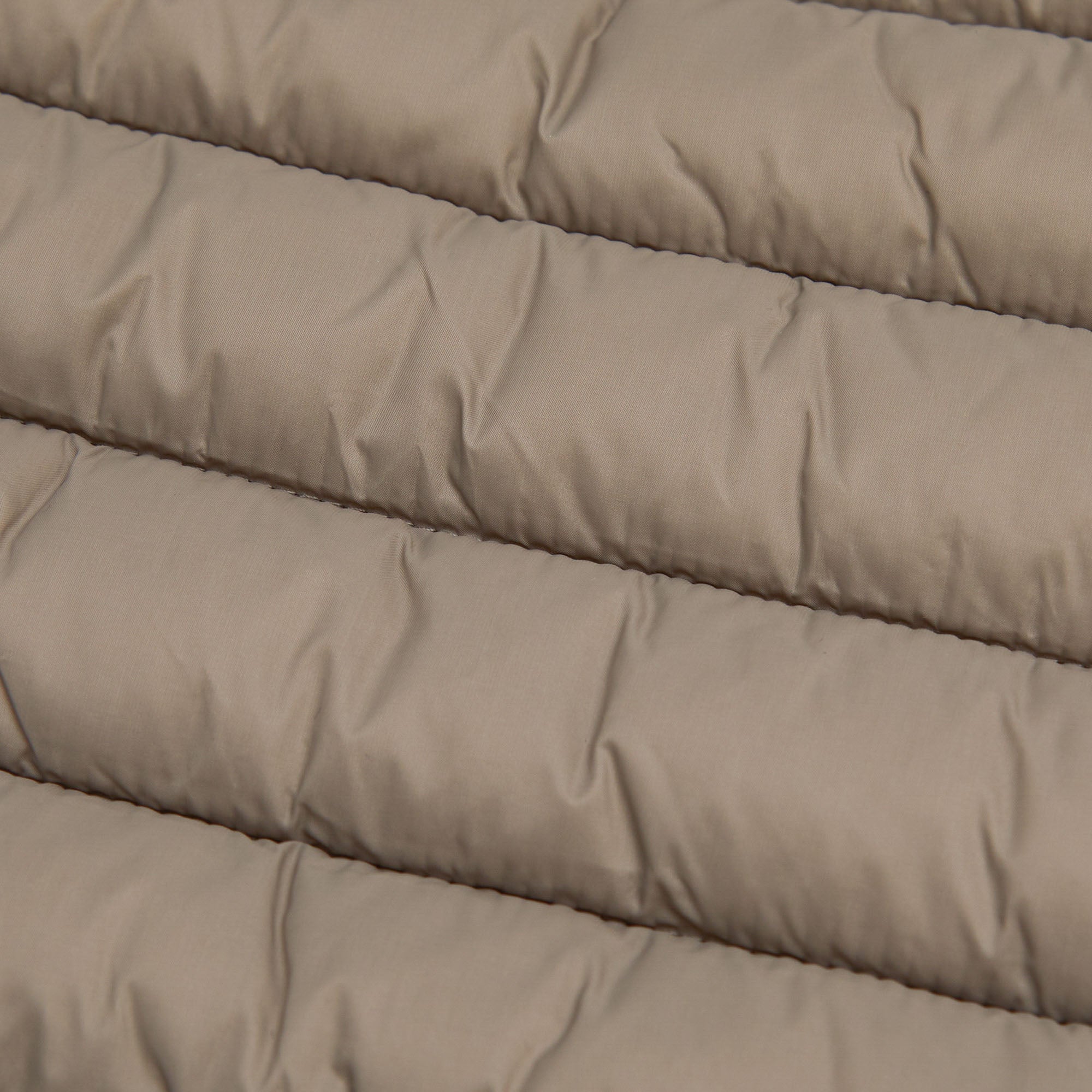 Boys & Girls Camel Padded Jacket