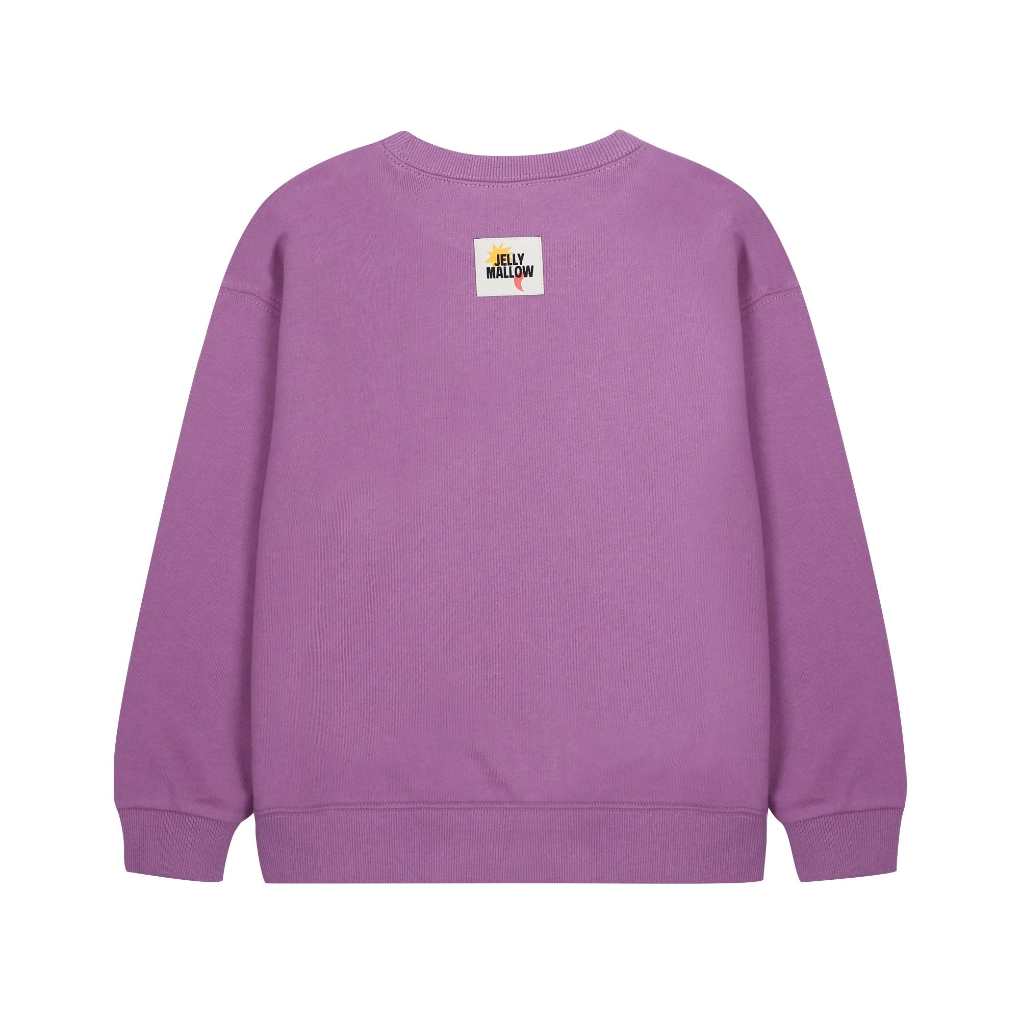 Boys & Girls Purple Cotton Sweatshirt
