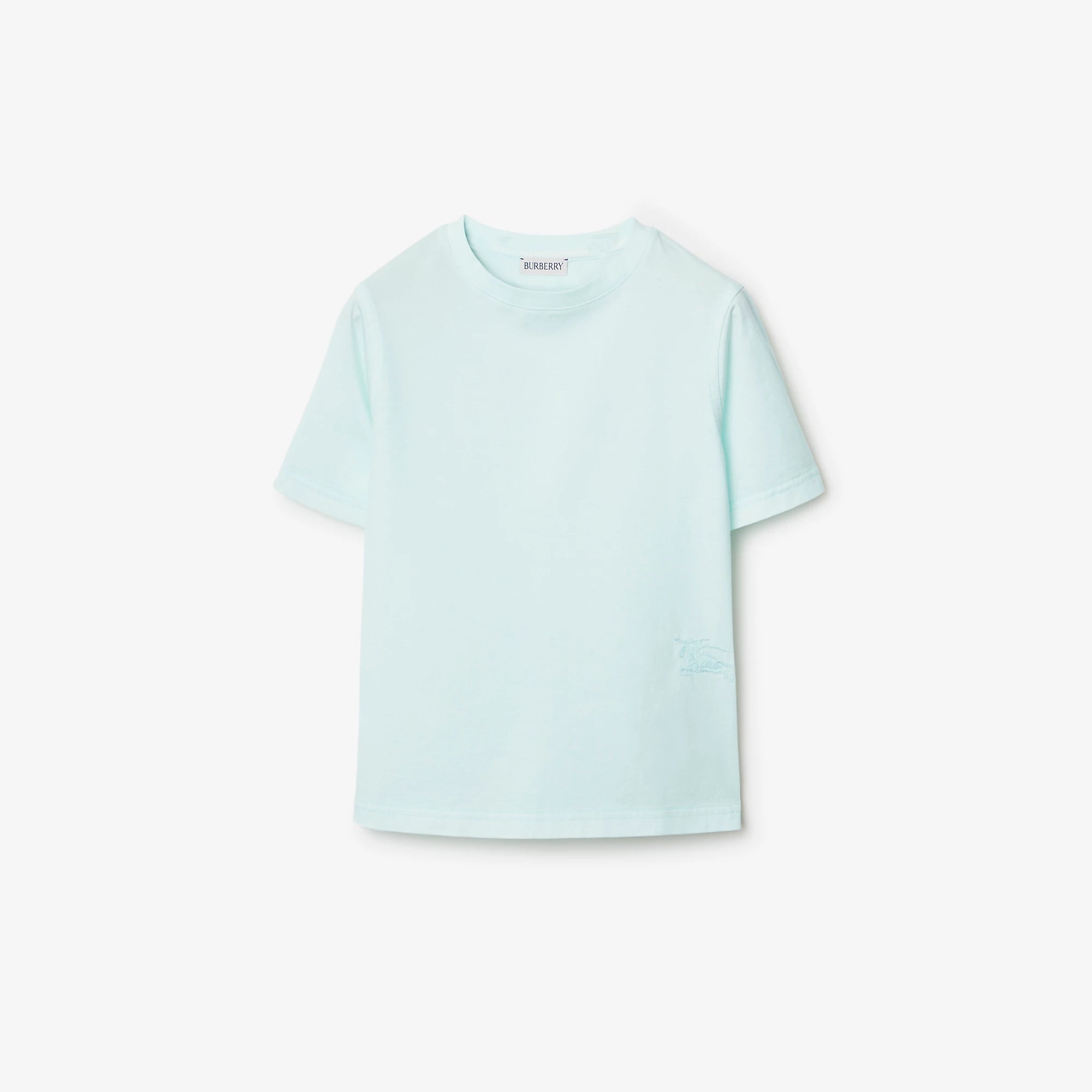Boys & Girls Mint Cotton T-Shirt