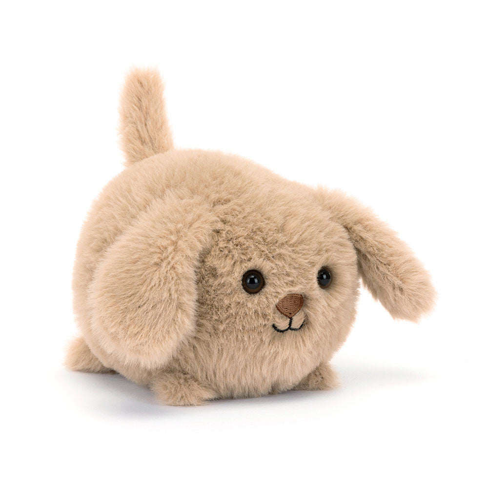 Caboodle Puppy(10x9x11cm)
