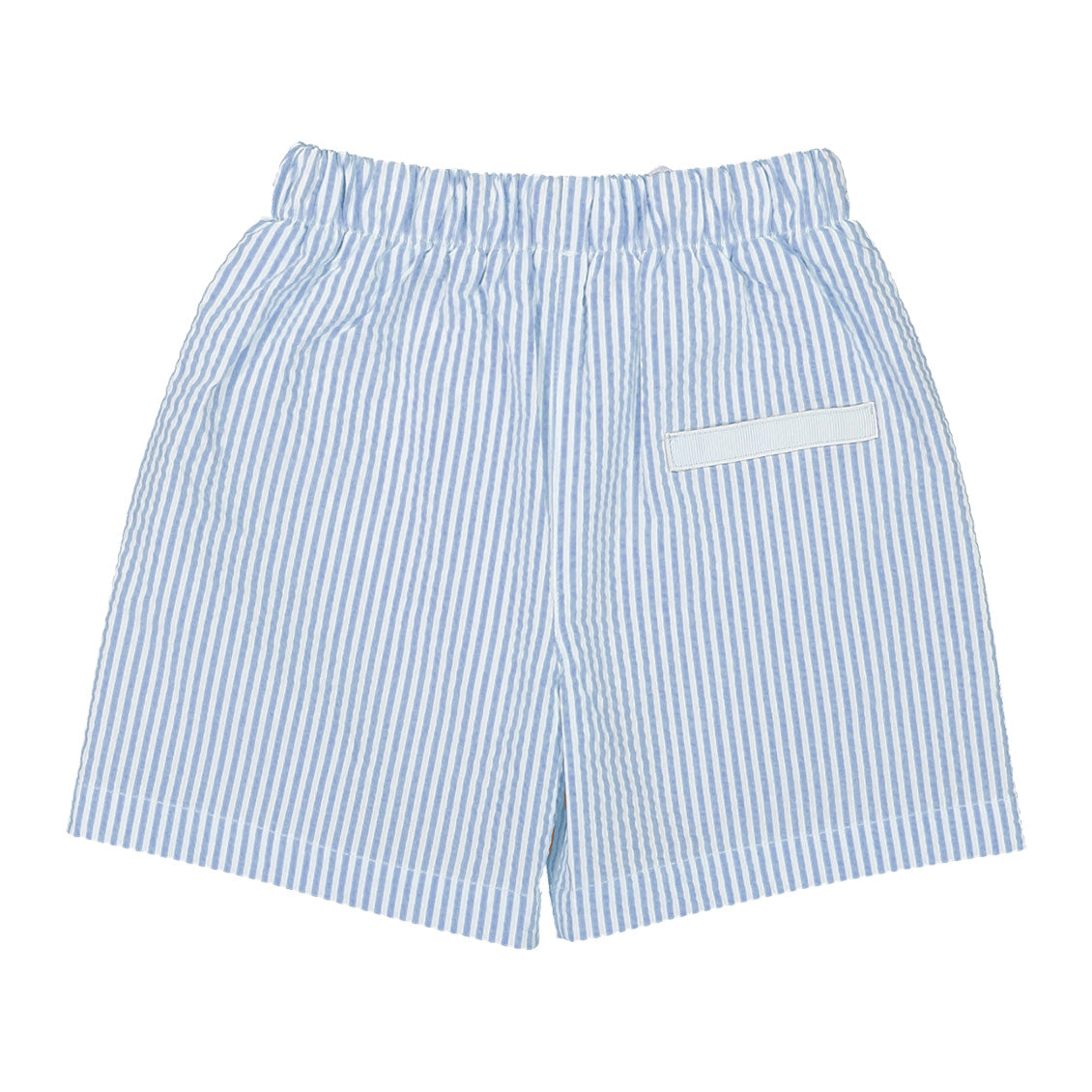 Boys Blue Stripes Swim Shorts