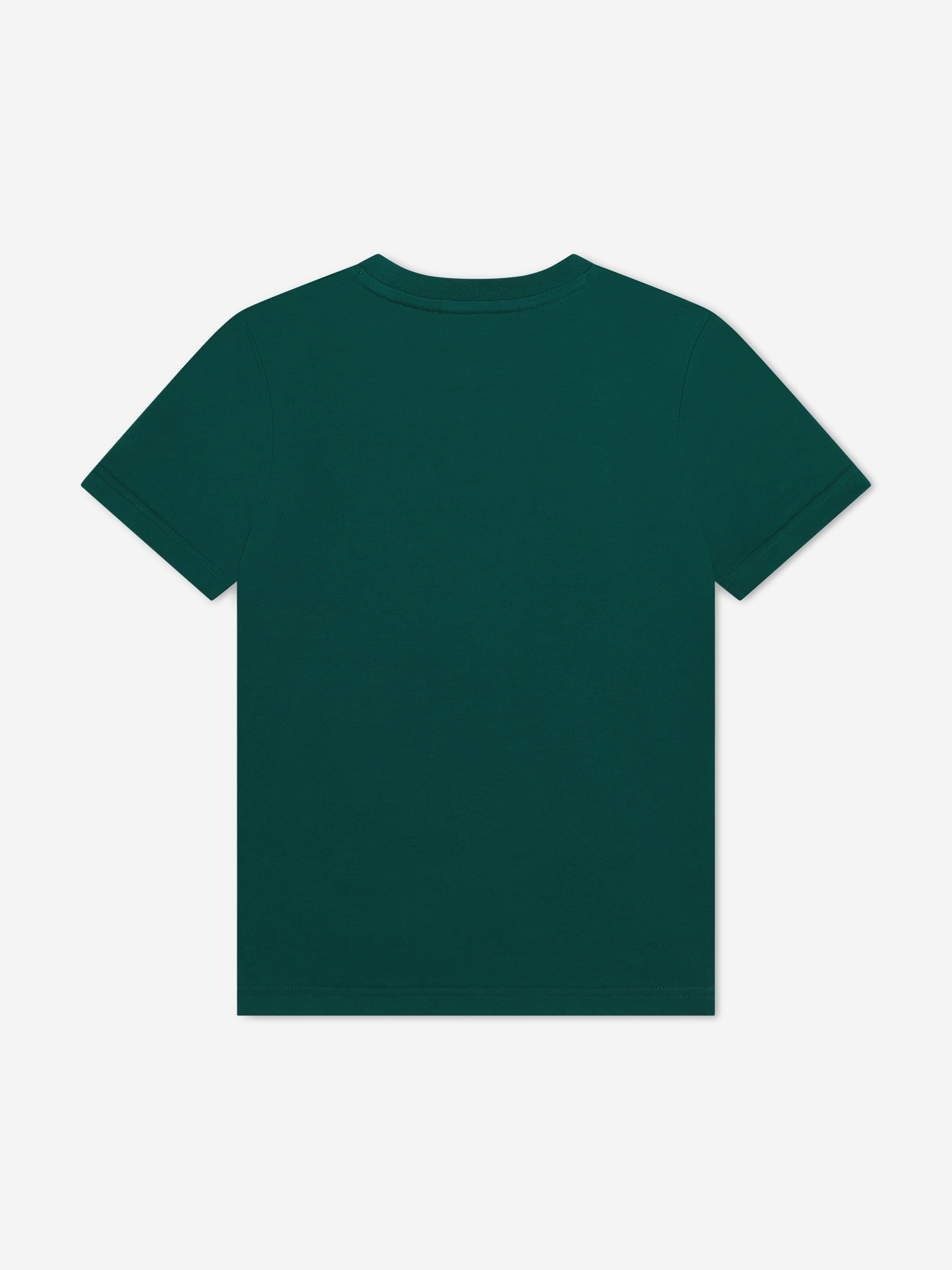 DKNY Boys Logo T-Shirt in Green