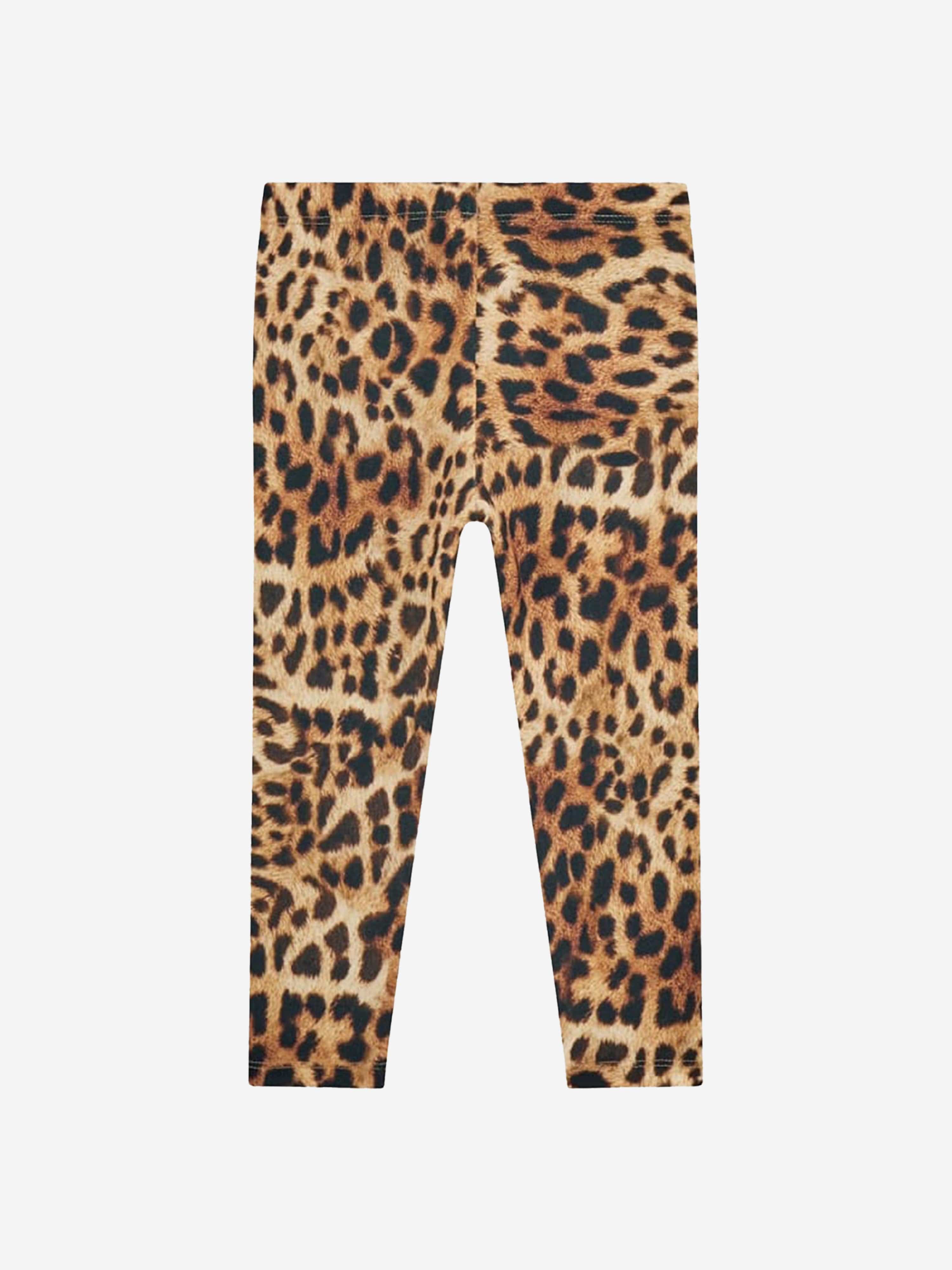 Girls Sweater And Leggings Set in Multicolour