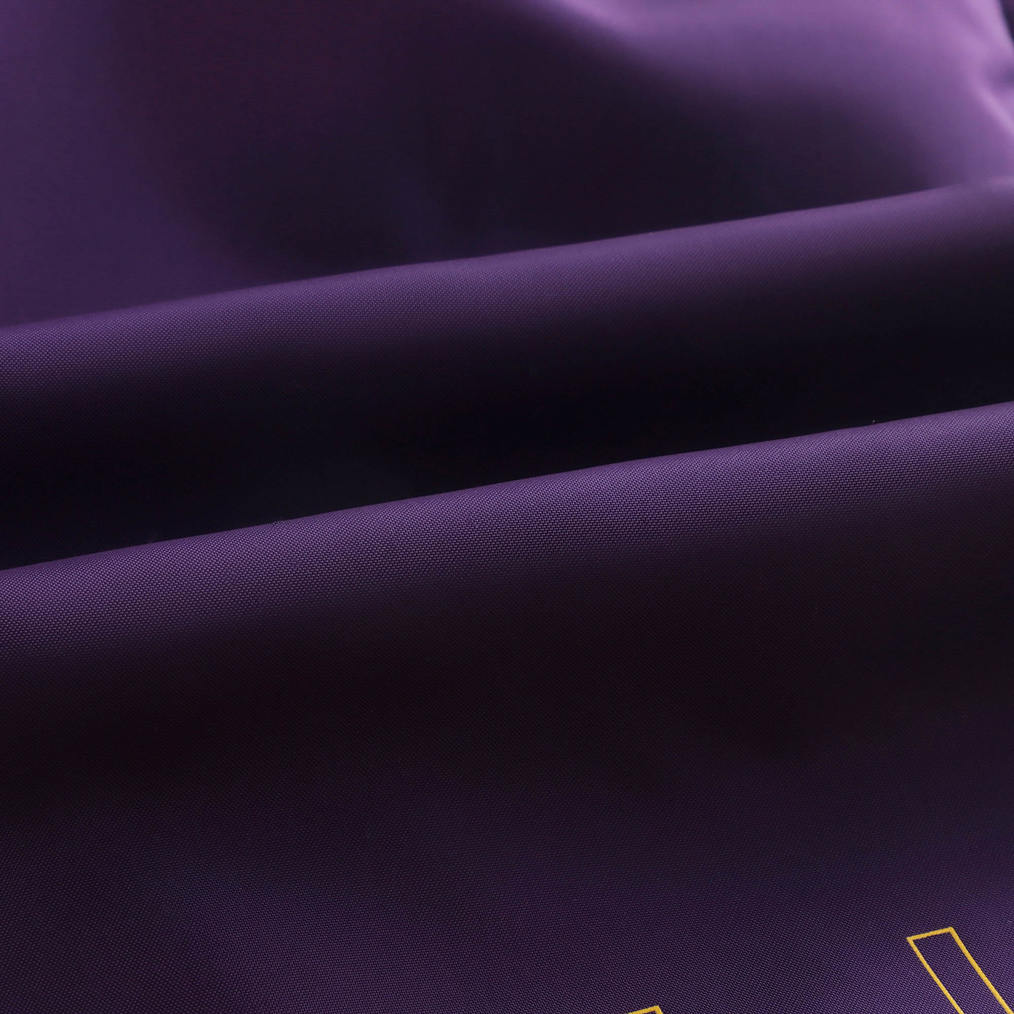 Boys Purple Logo Swim Shorts