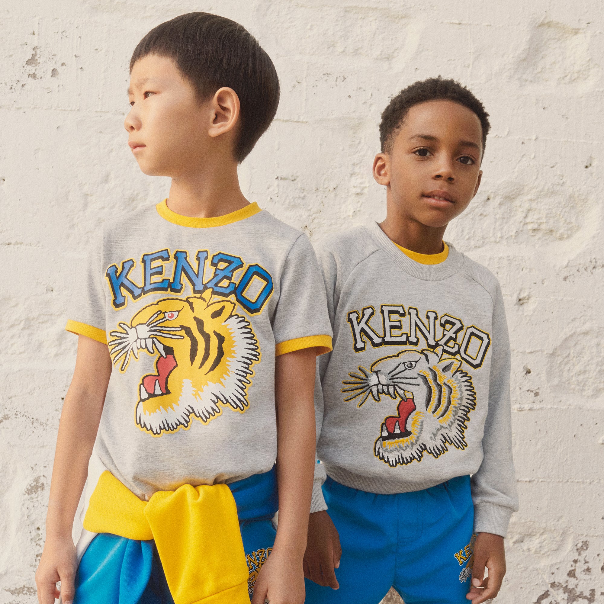 Boys Grey Tiger Cotton Sweatshirt
