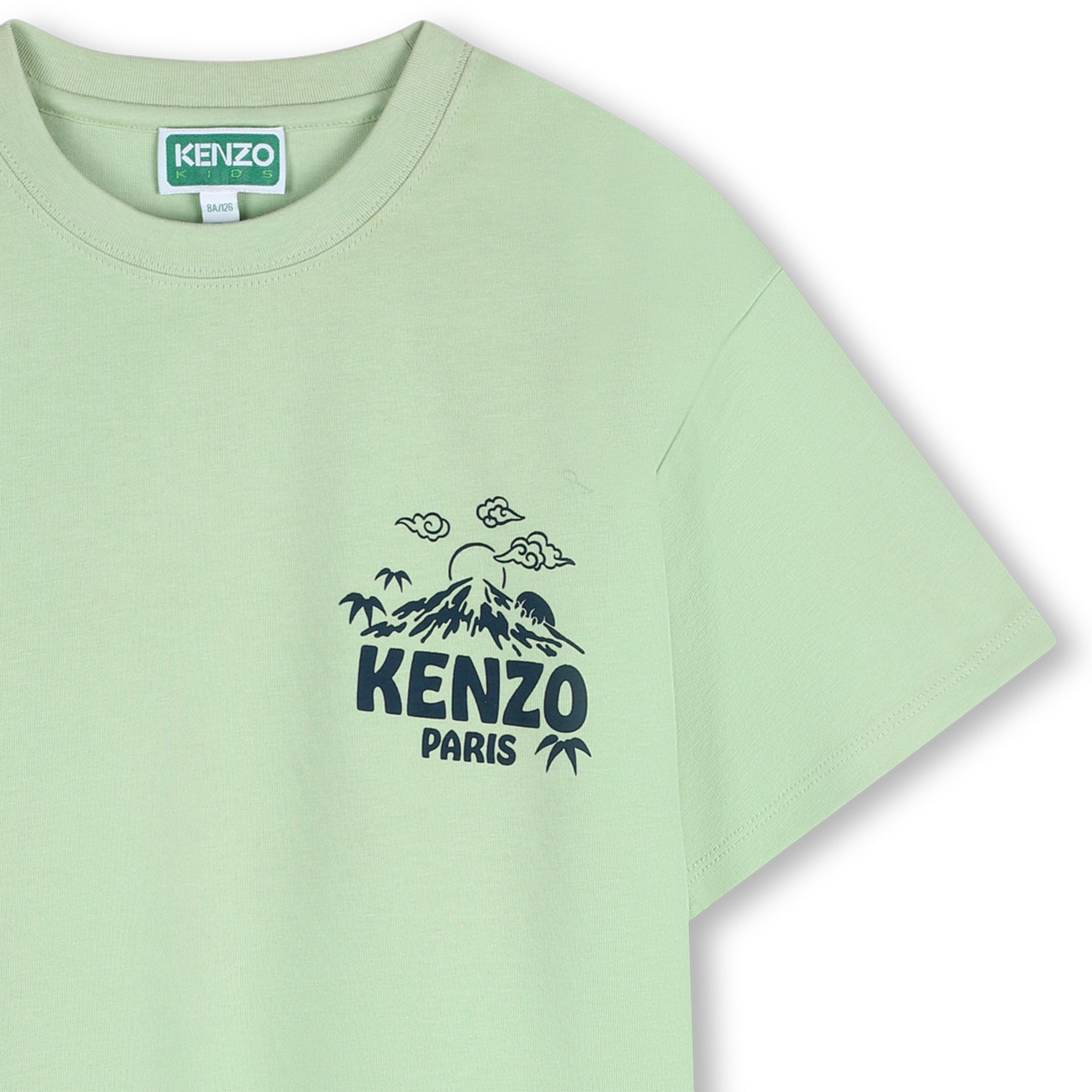 Boys Light Green Printed Cotton T-Shirt