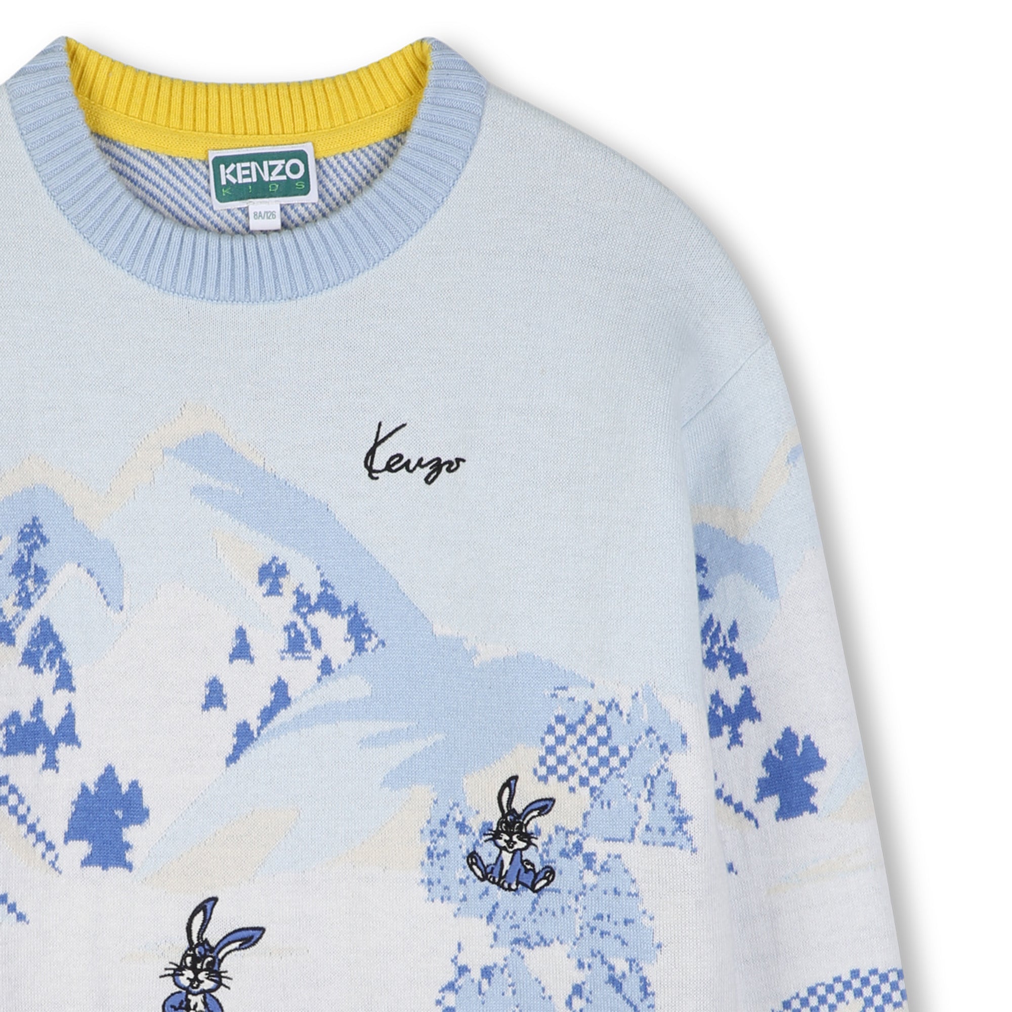 Boys Light Blue Jacquard Cotton Knit Sweater