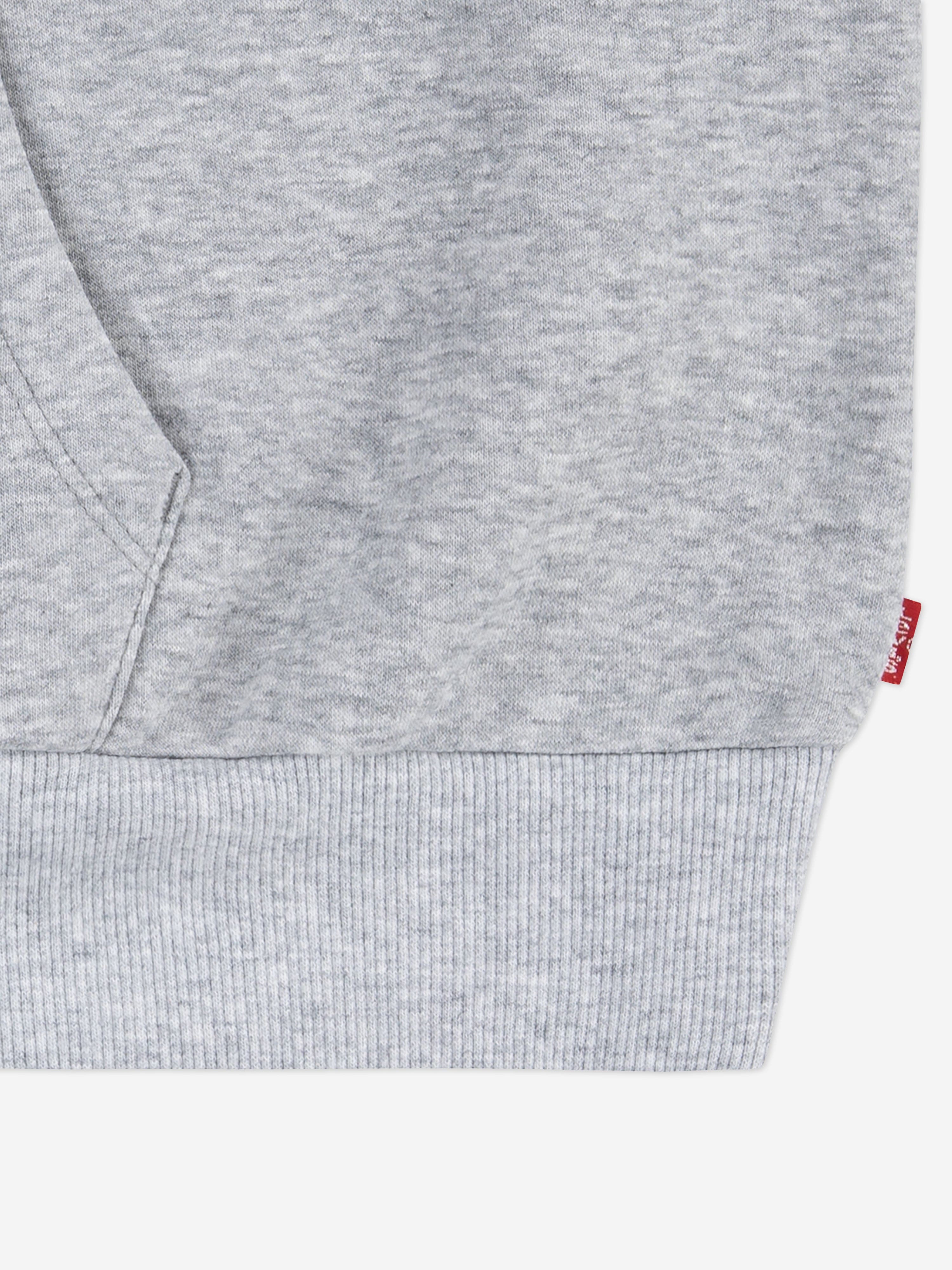 Girls Collegiate Hoodie in Grey