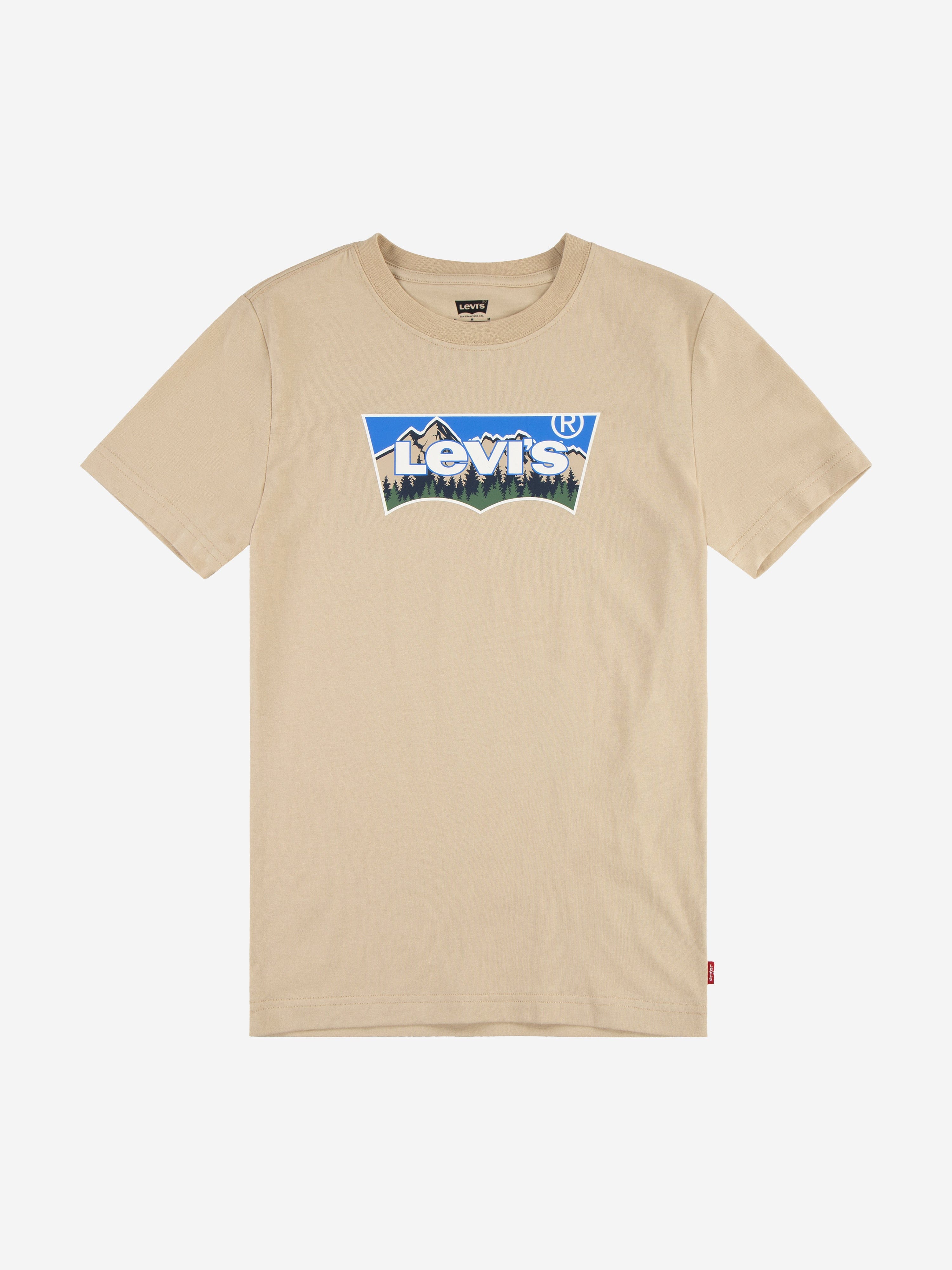 Levi's Boys Forested Mountains Batwing T-Shirt in Beige