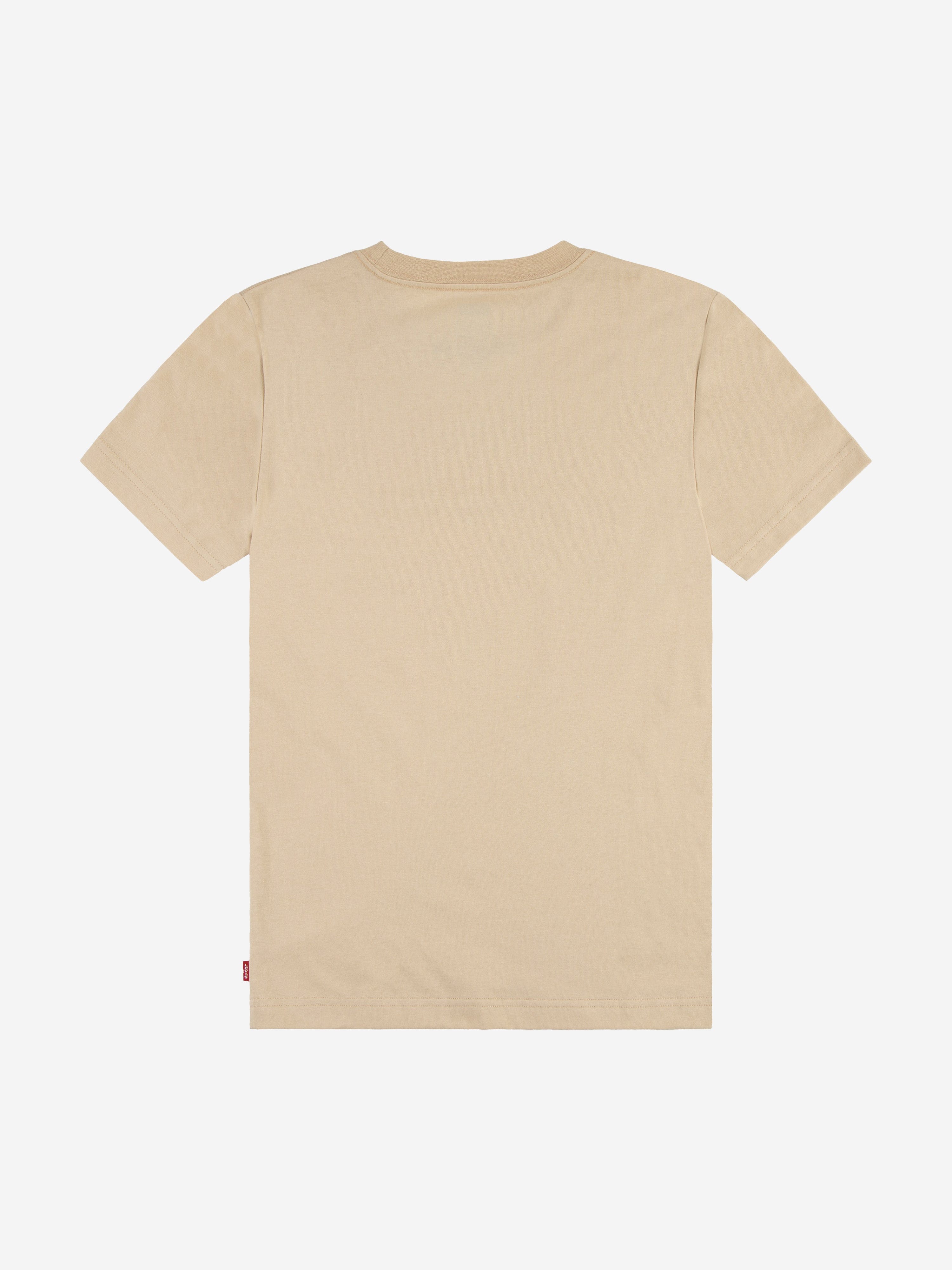 Levi's Boys Forested Mountains Batwing T-Shirt in Beige