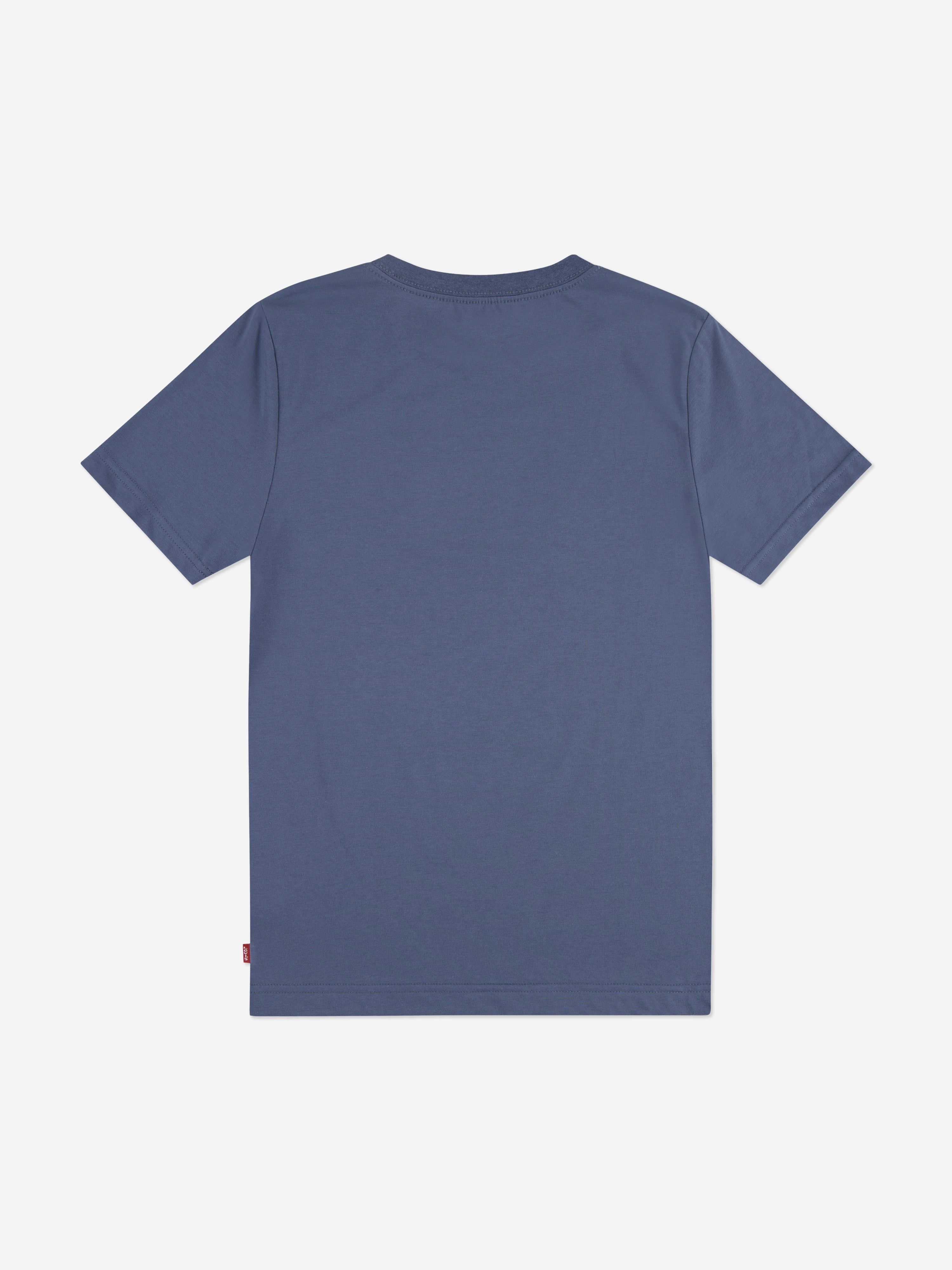 Levi's Boys Mountain Batwing T-Shirt in Blue
