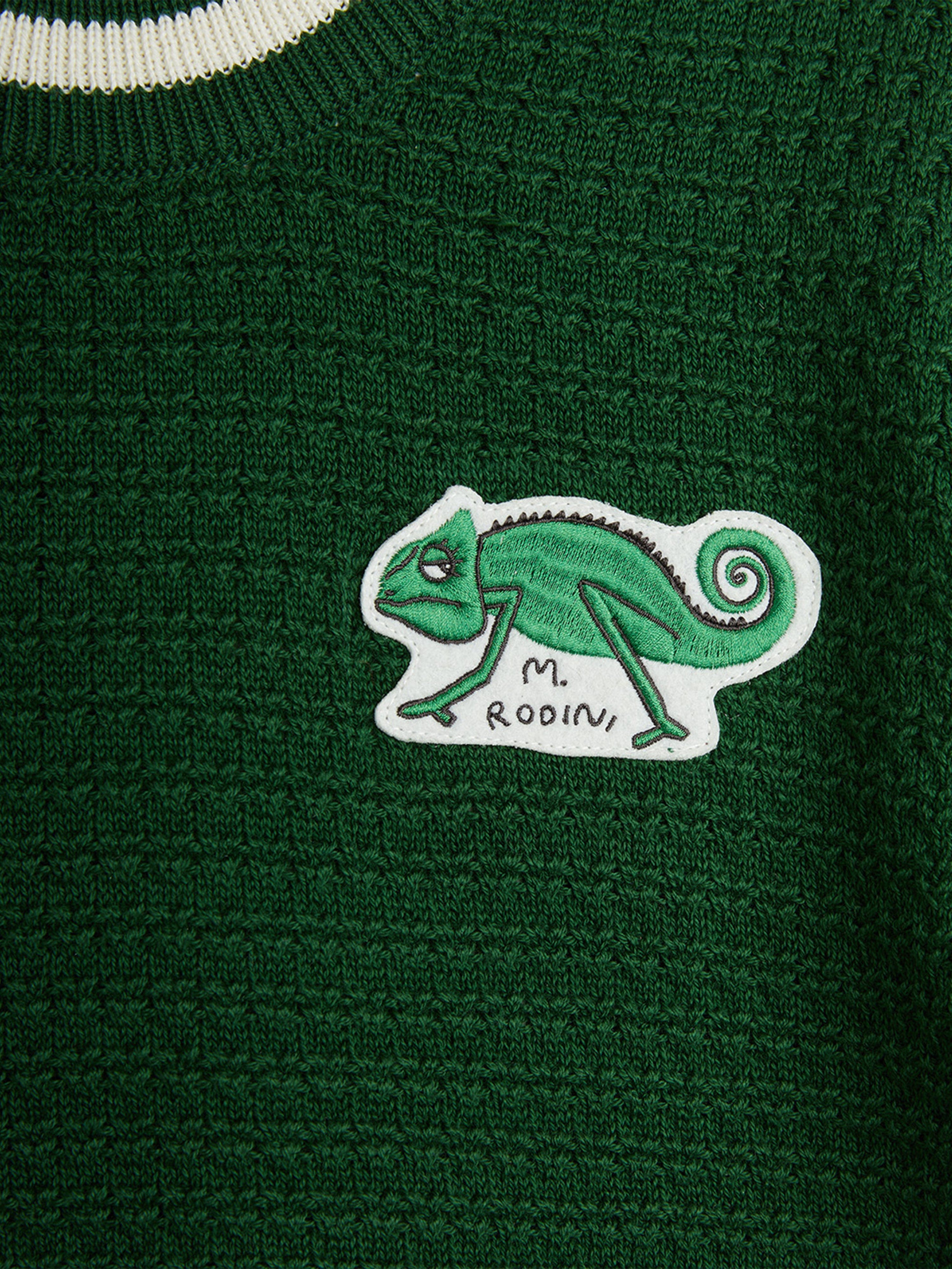 Kids Lizard Patch Crochet Knit T-Shirt in Green