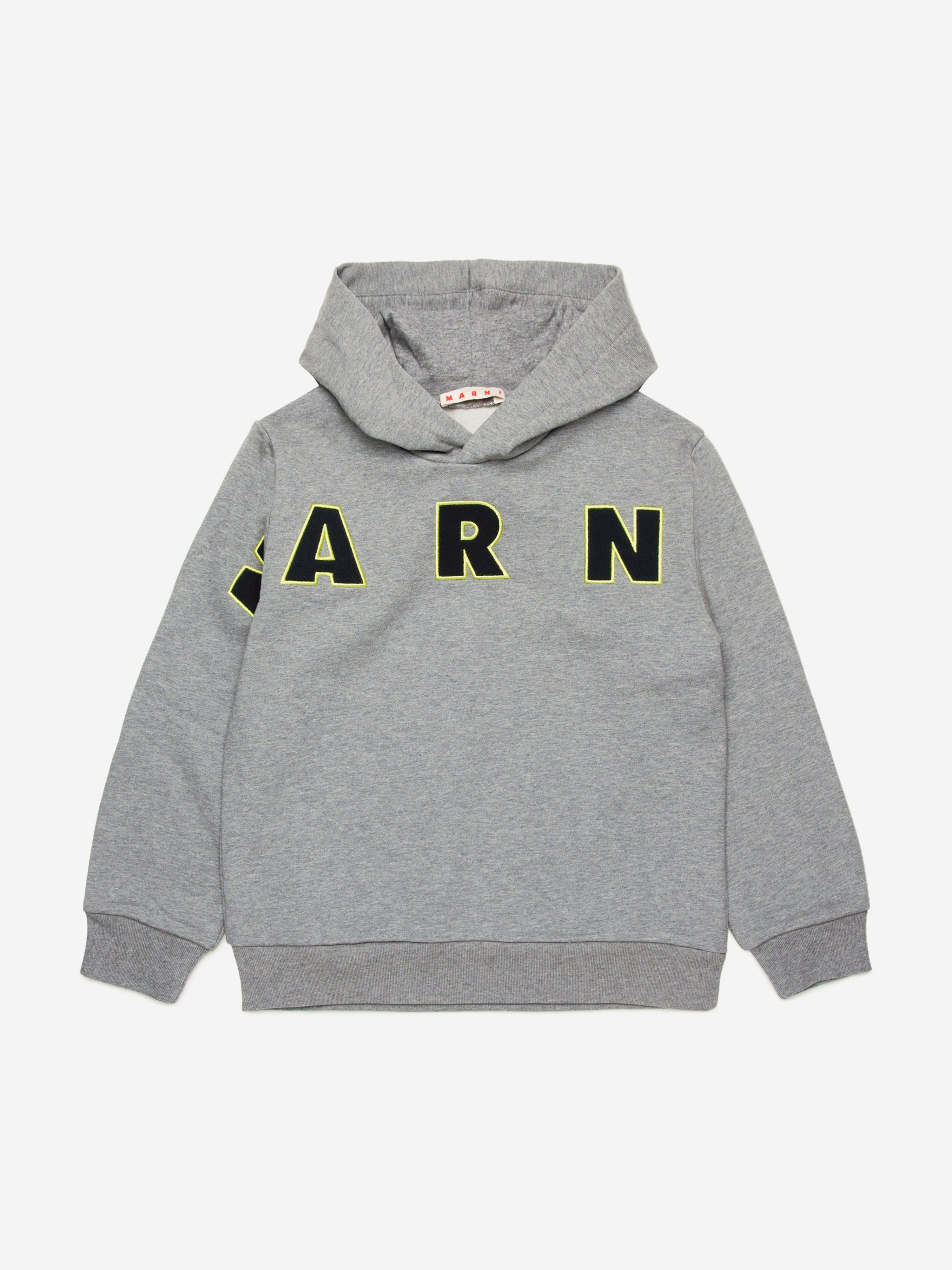 Kids Logo Hoodie in Grey