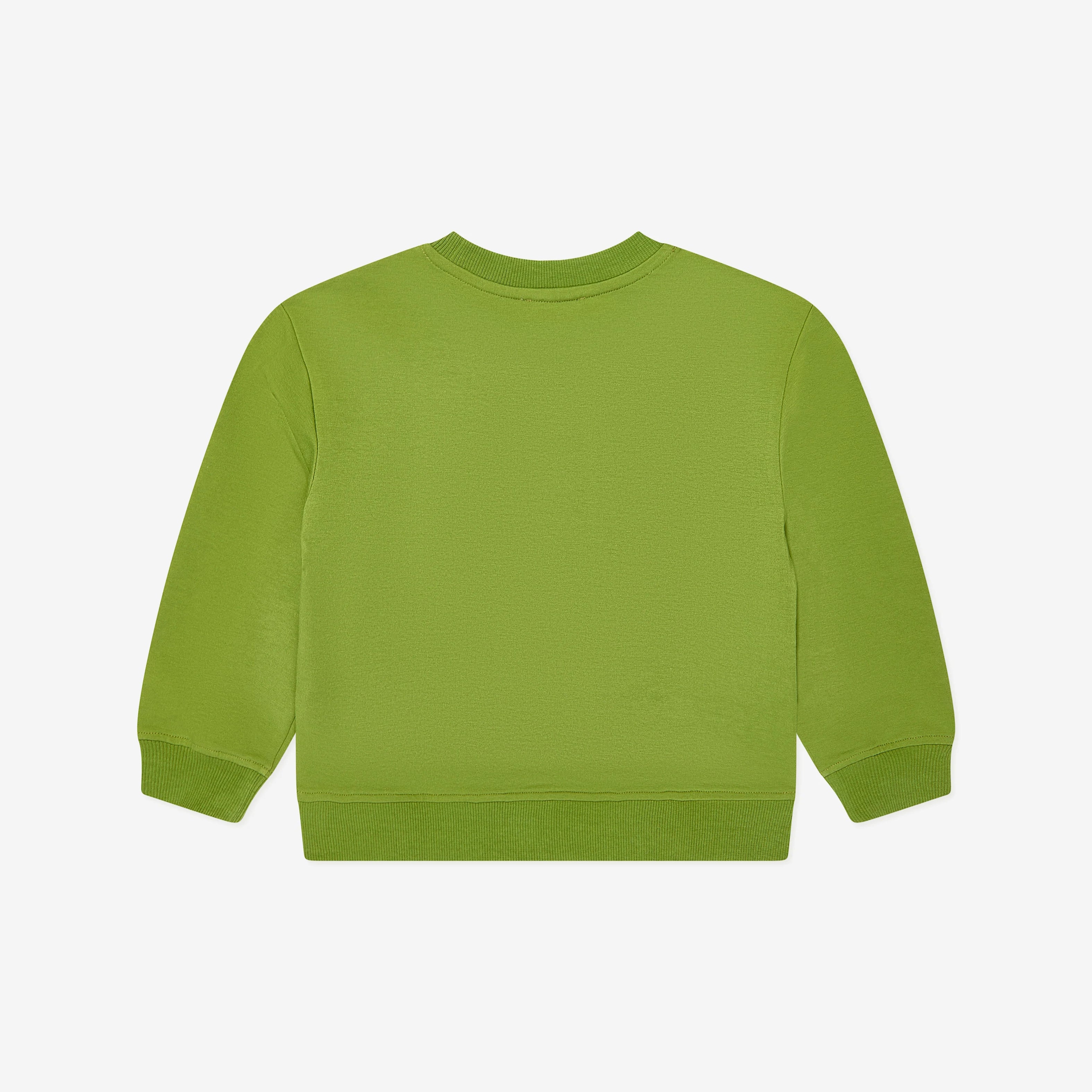 Boys & Girls Green Teddy Bear Cotton Sweatshirt