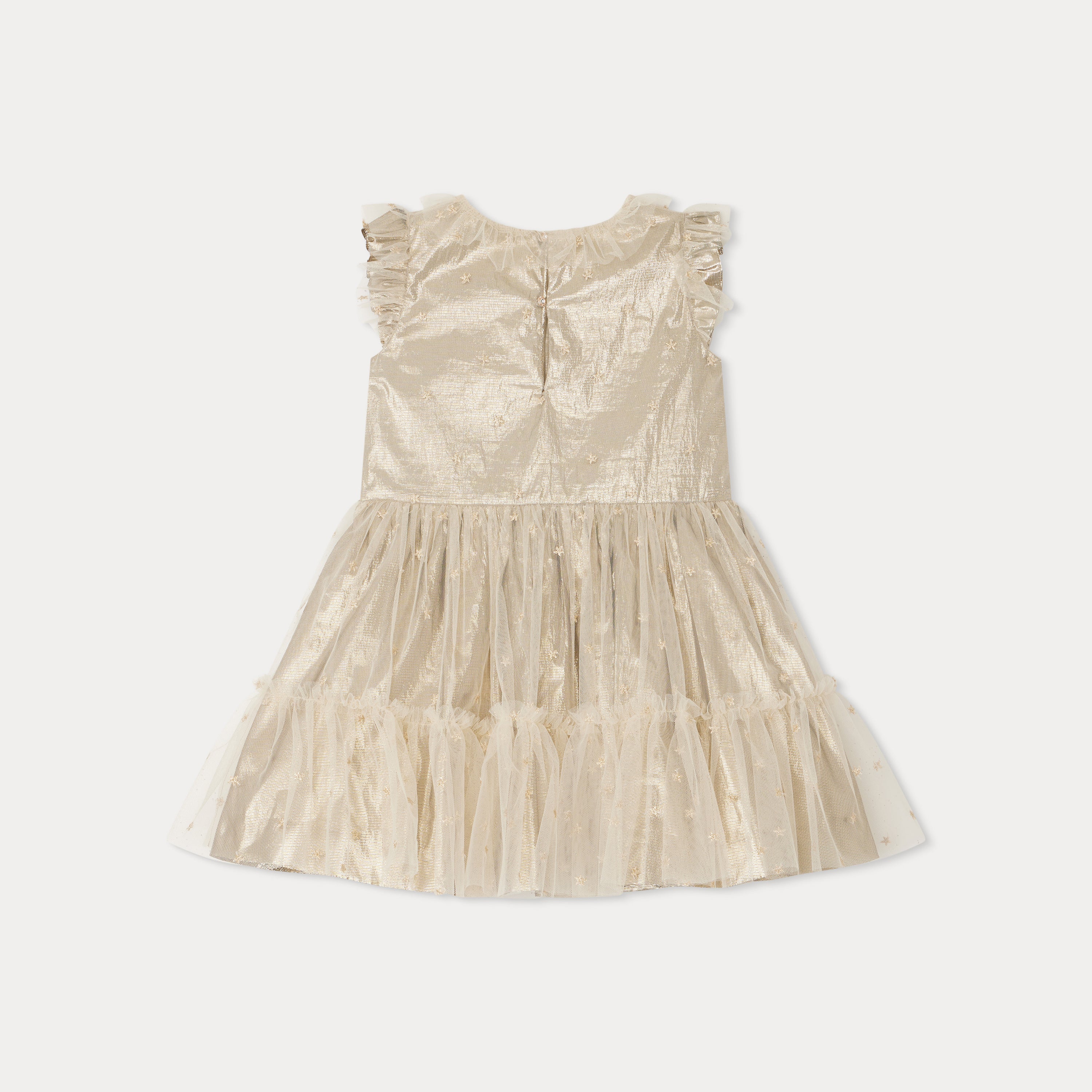 Girls Champagne Embroidered Dress