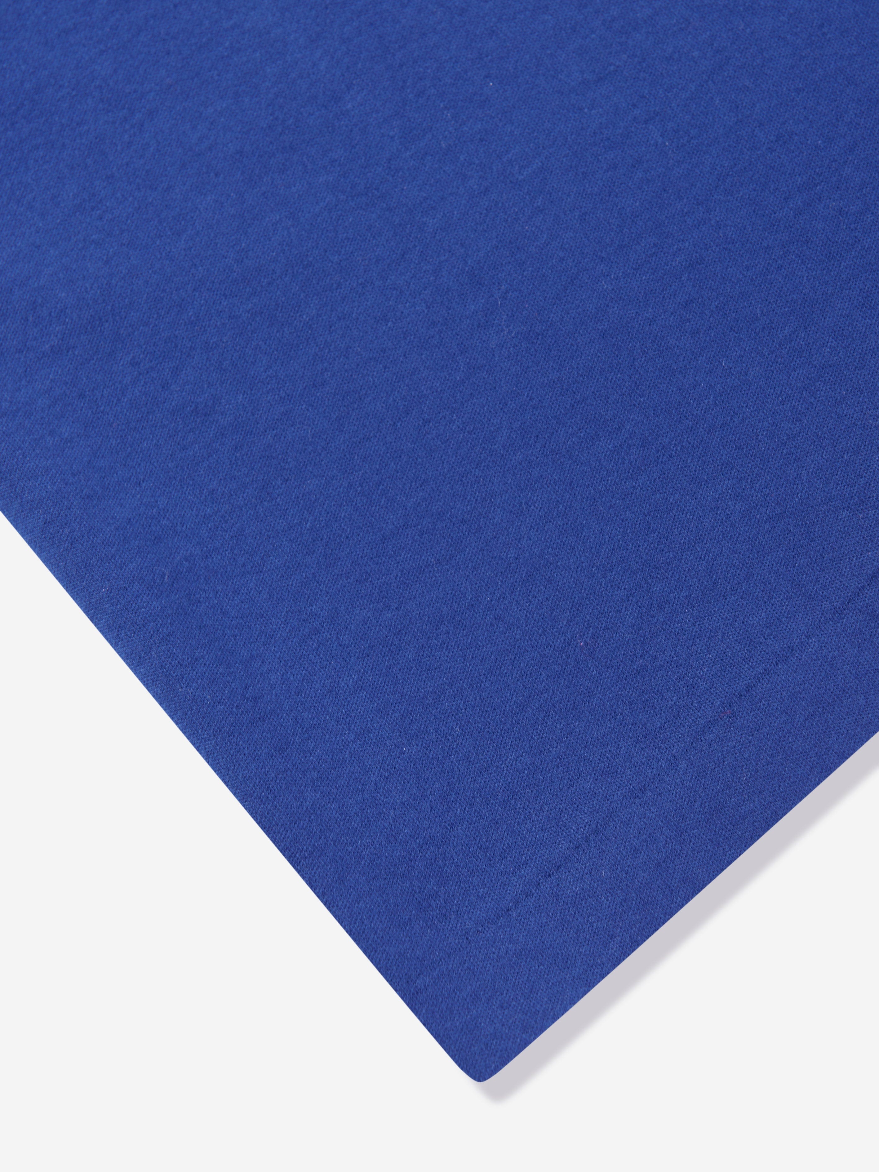 Ralph Lauren Boys Logo Polo Shirti n Blue