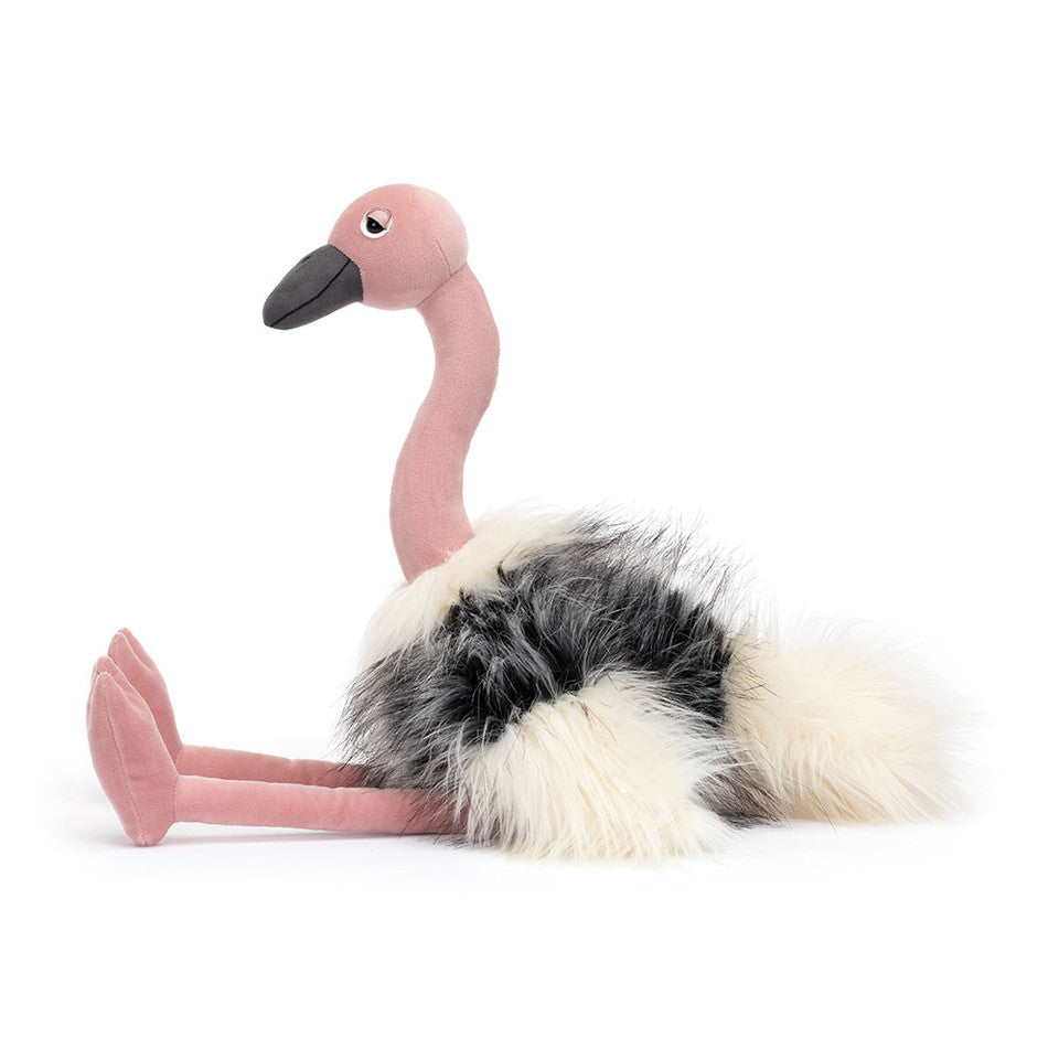 Ramonda Ostrich(55x15x15cm)