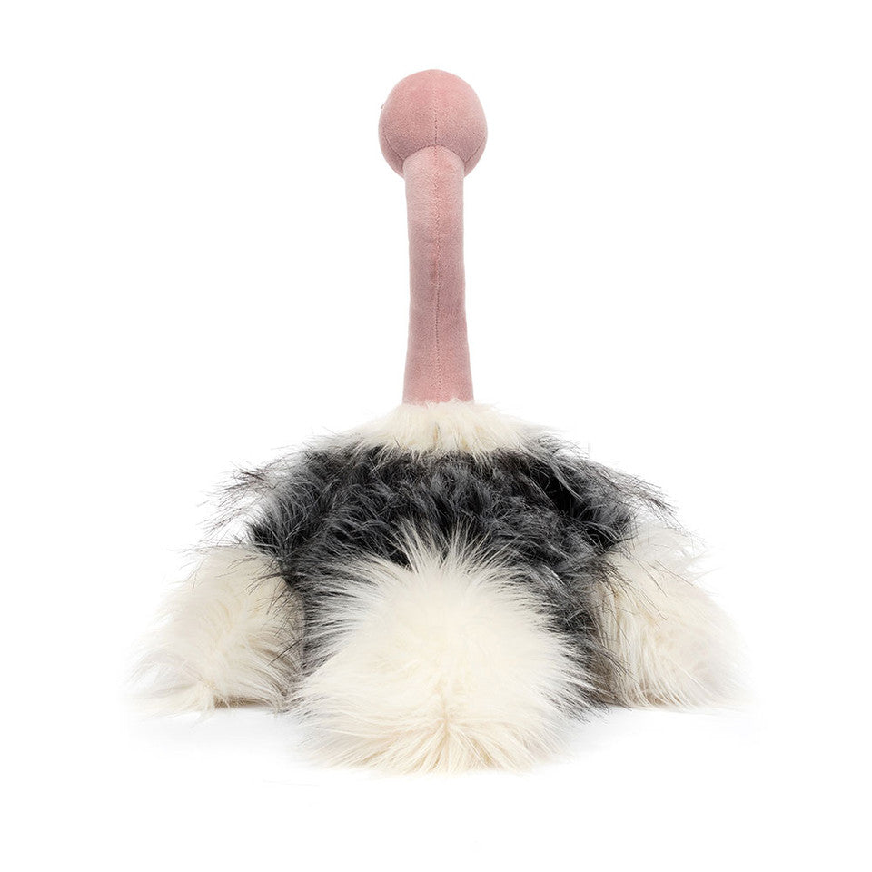 Ramonda Ostrich(55x15x15cm)