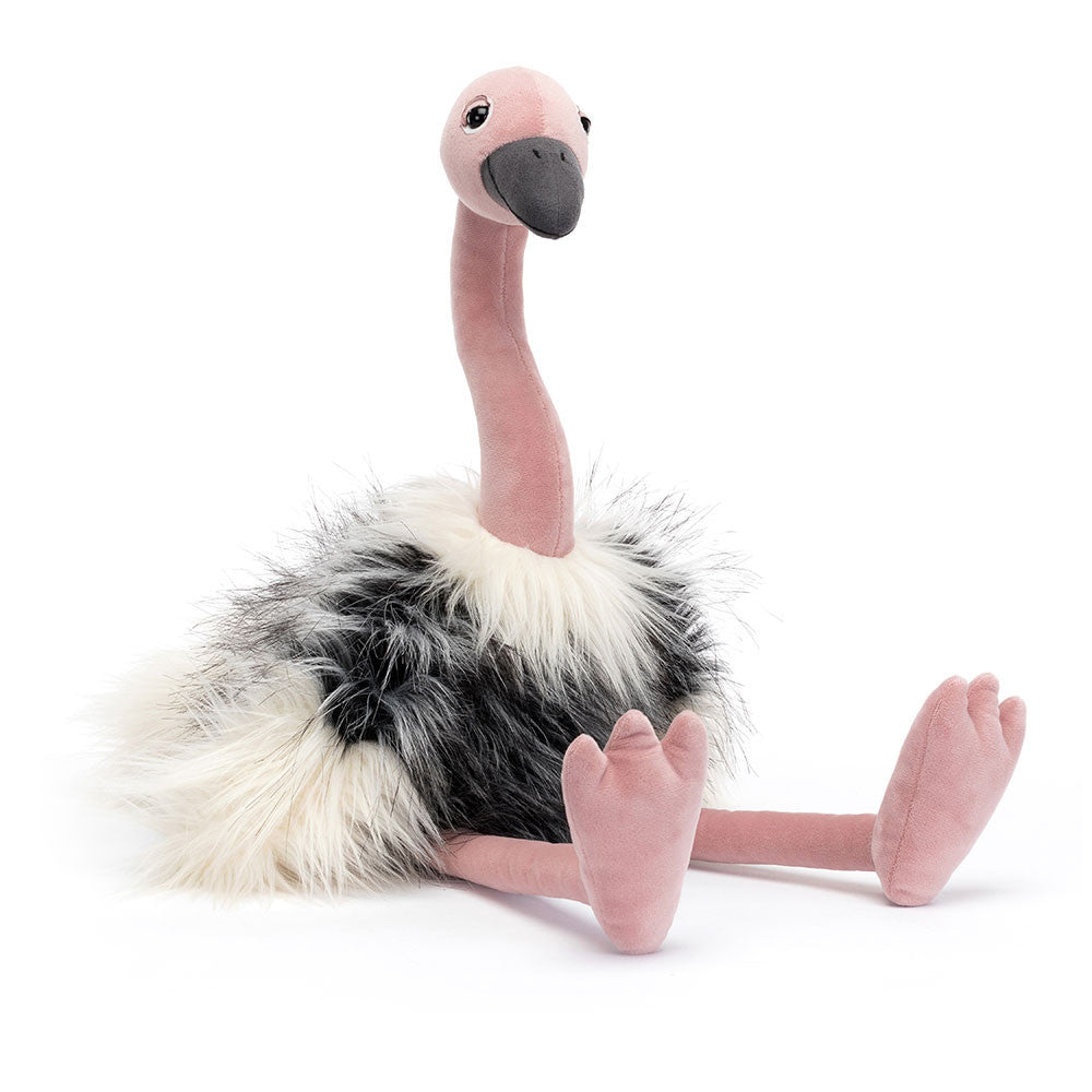 Ramonda Ostrich(55x15x15cm)