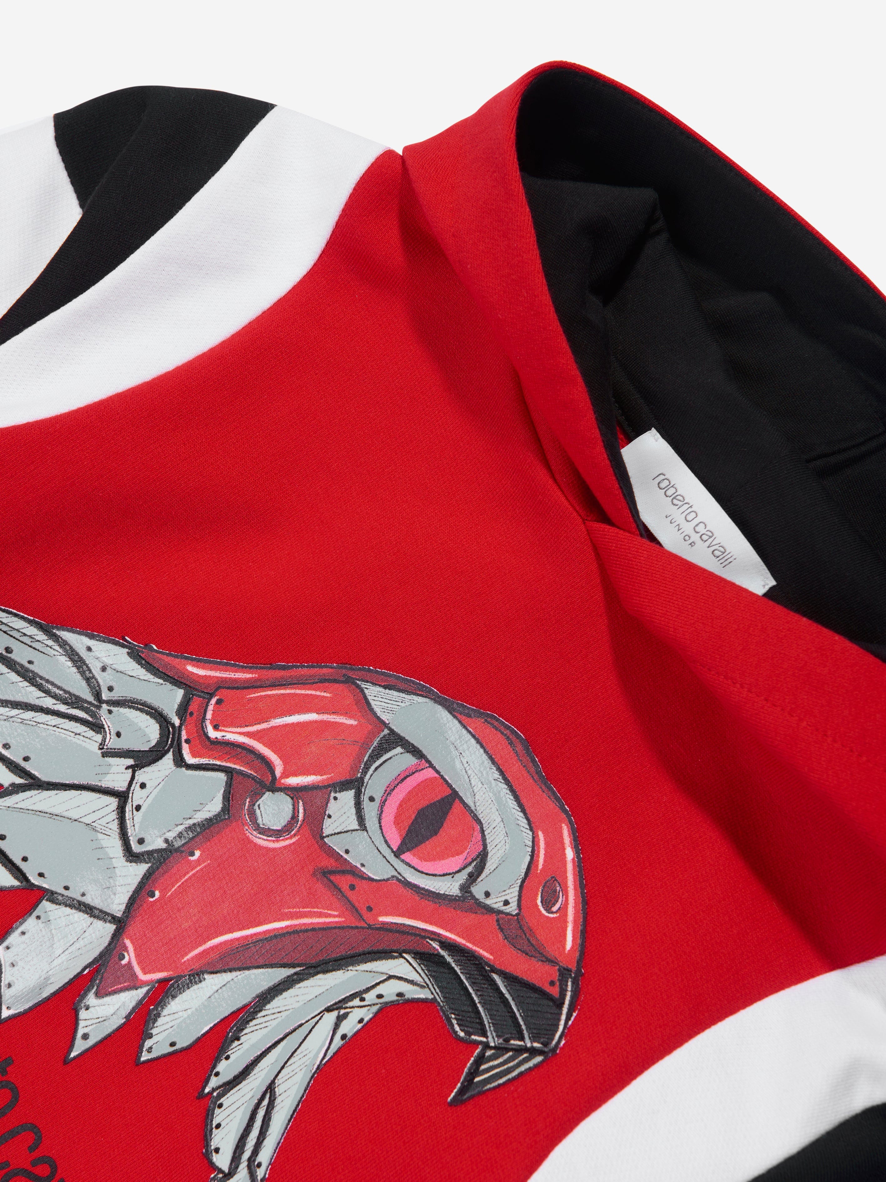 Roberto Cavalli Boys Eagle Hoodie in Red