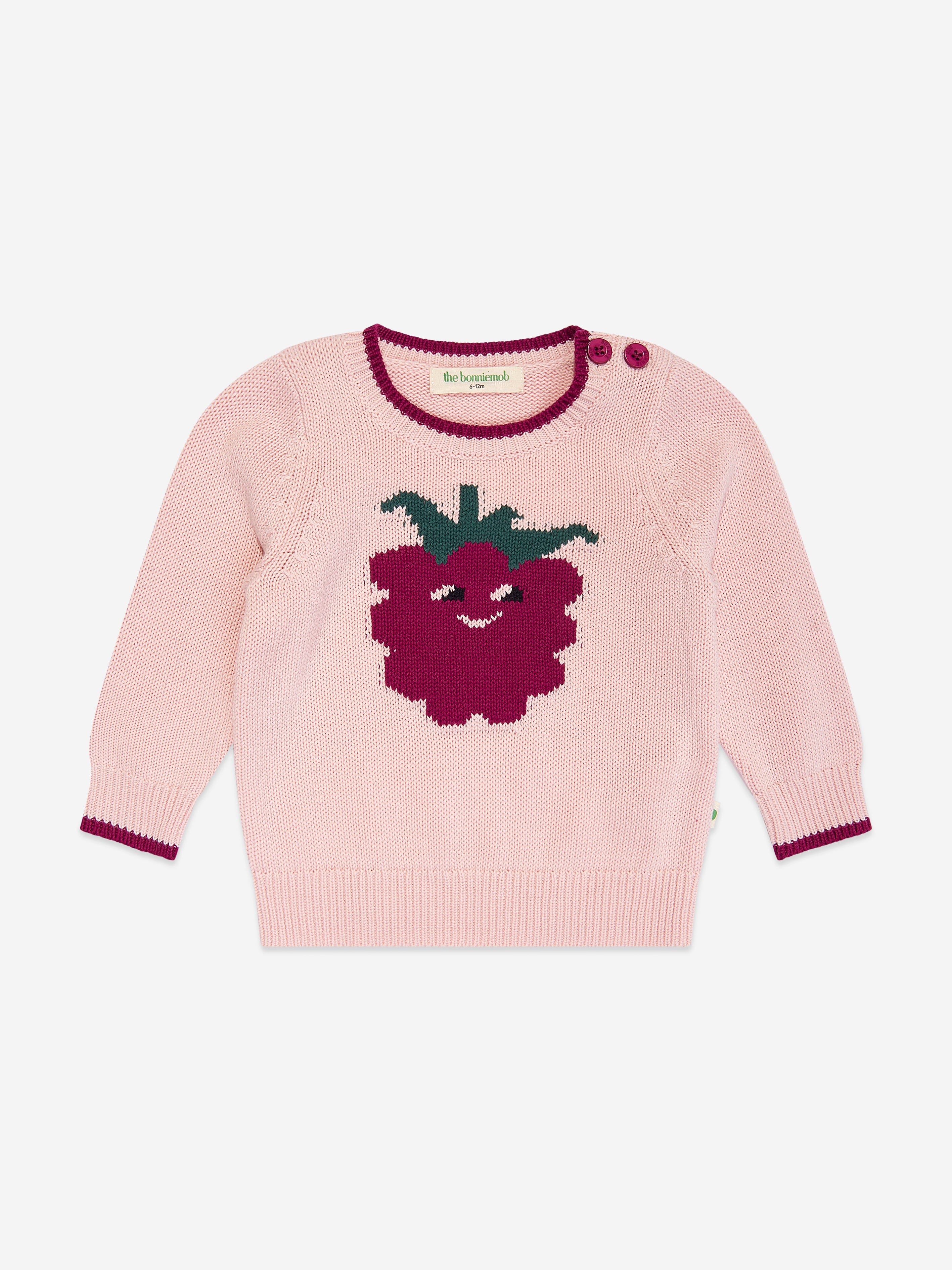 Girls Blackberry Knit Jumper in Pink