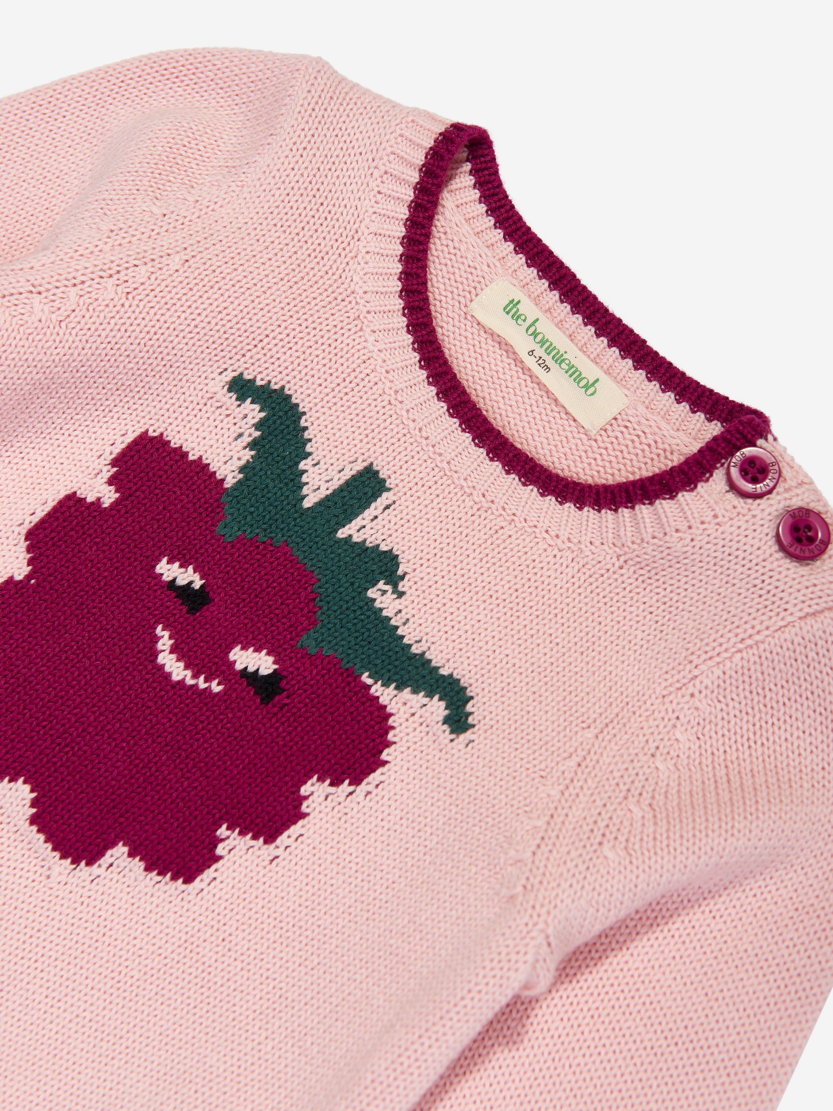 Girls Blackberry Knit Jumper in Pink