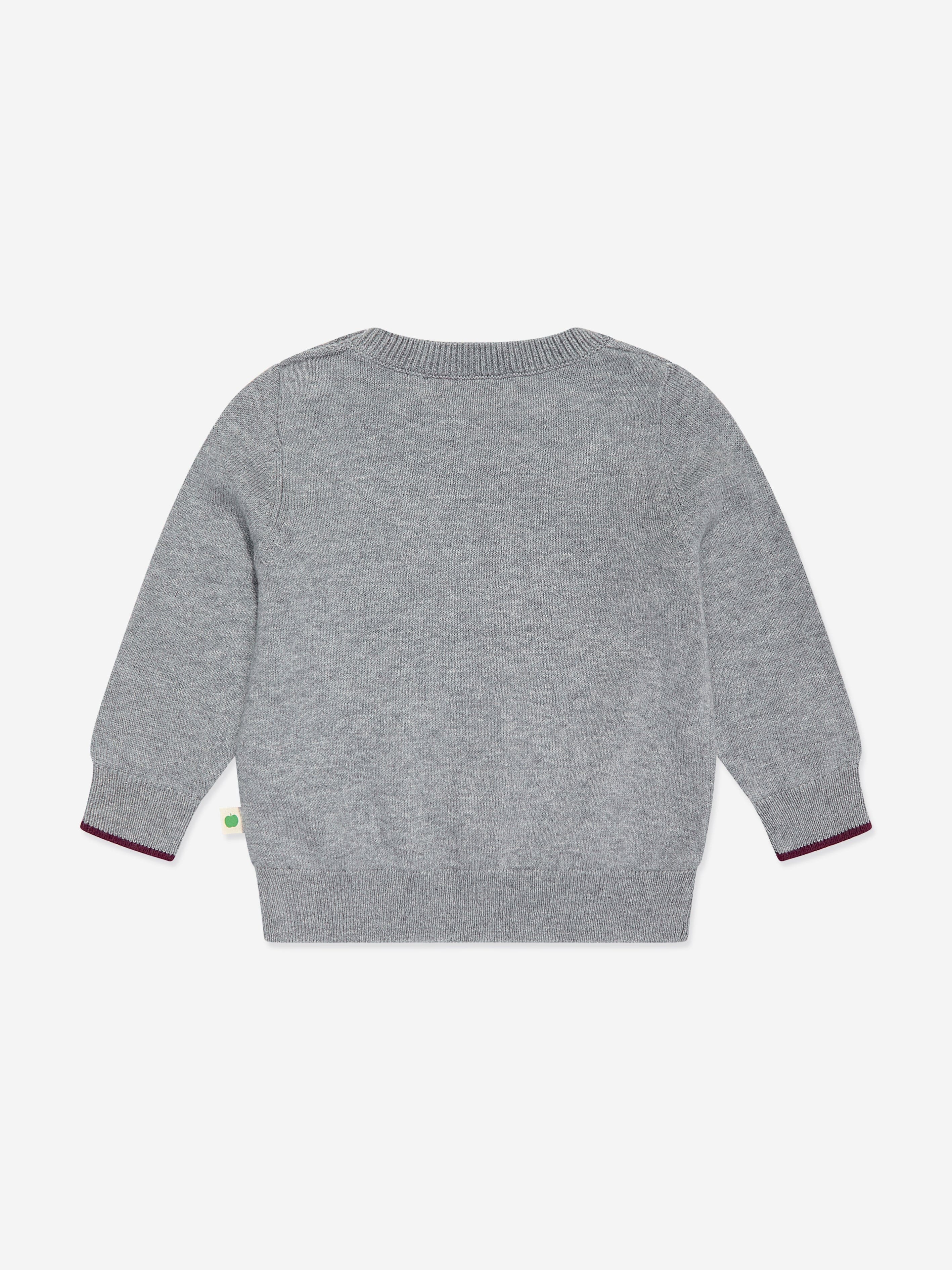 Baby Sparrow Mushroom Knit Jumper in Grey