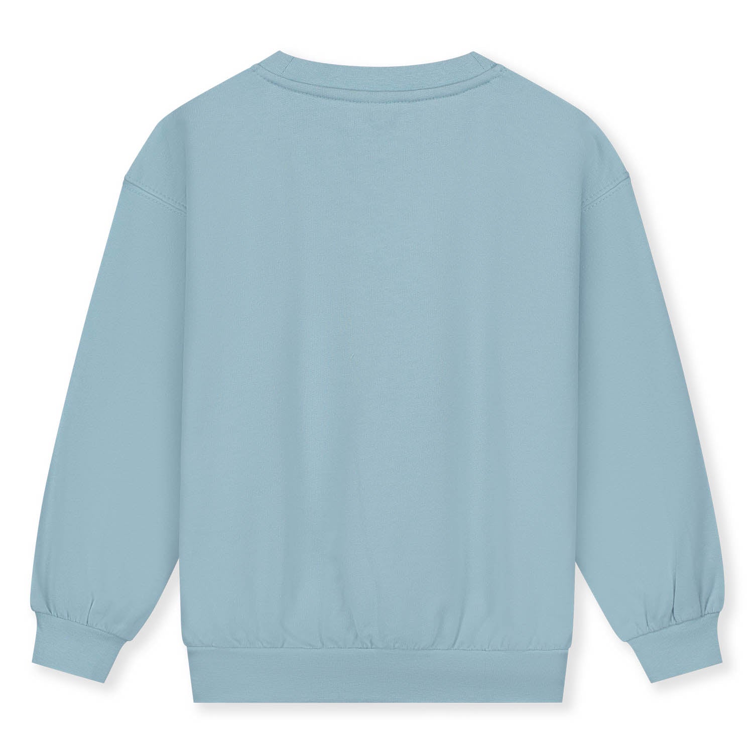 Boys & Girls Sky Blue Cotton Sweatshirt