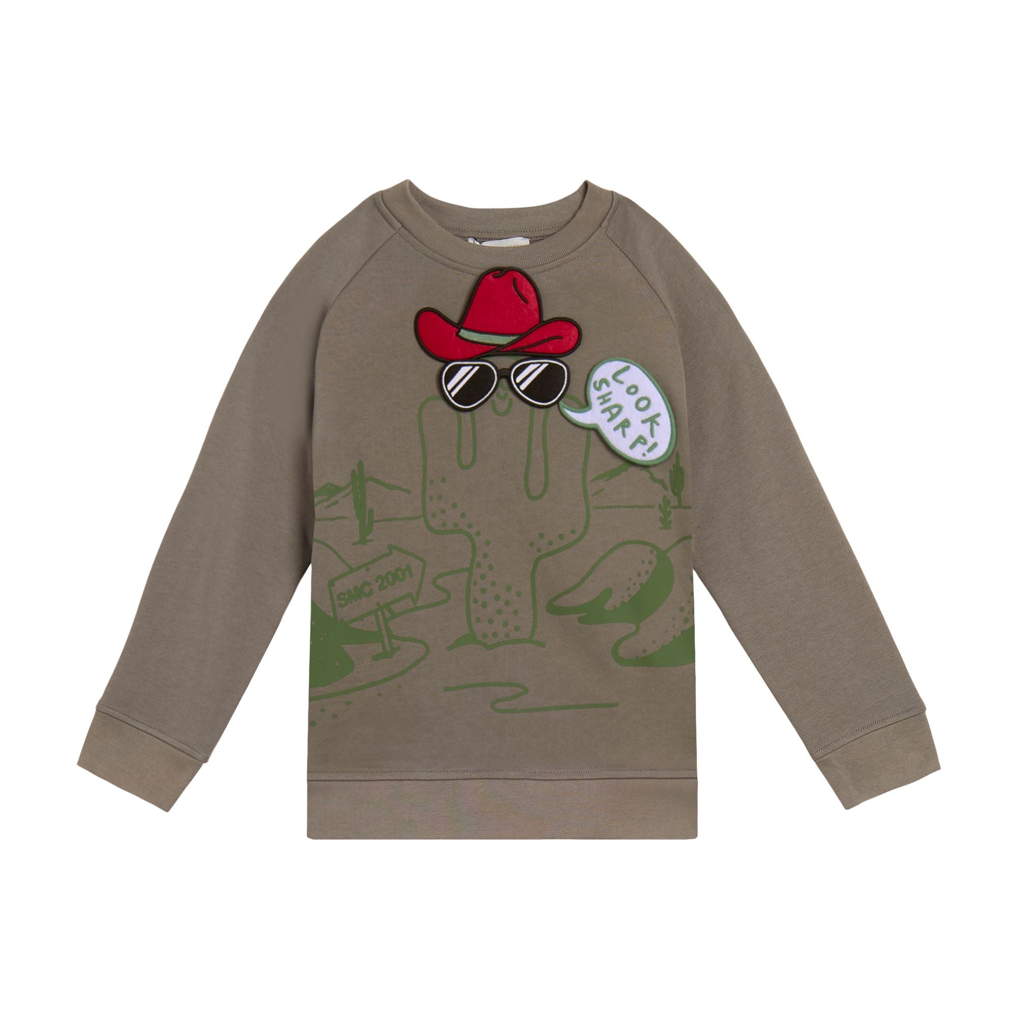 Boys Brown Printed Cotton Sweatshirt