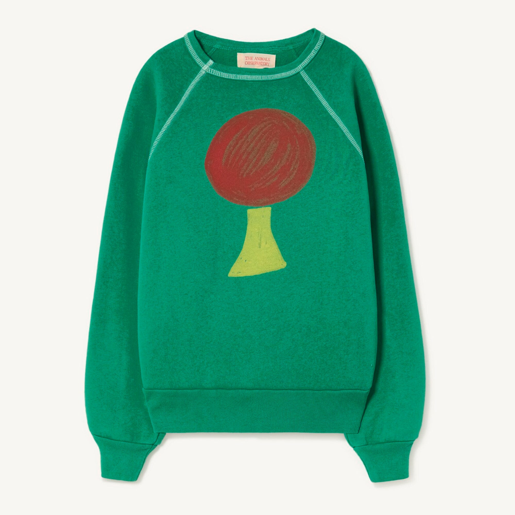 Boys & Girls Green Printed Cotton Sweatshirt