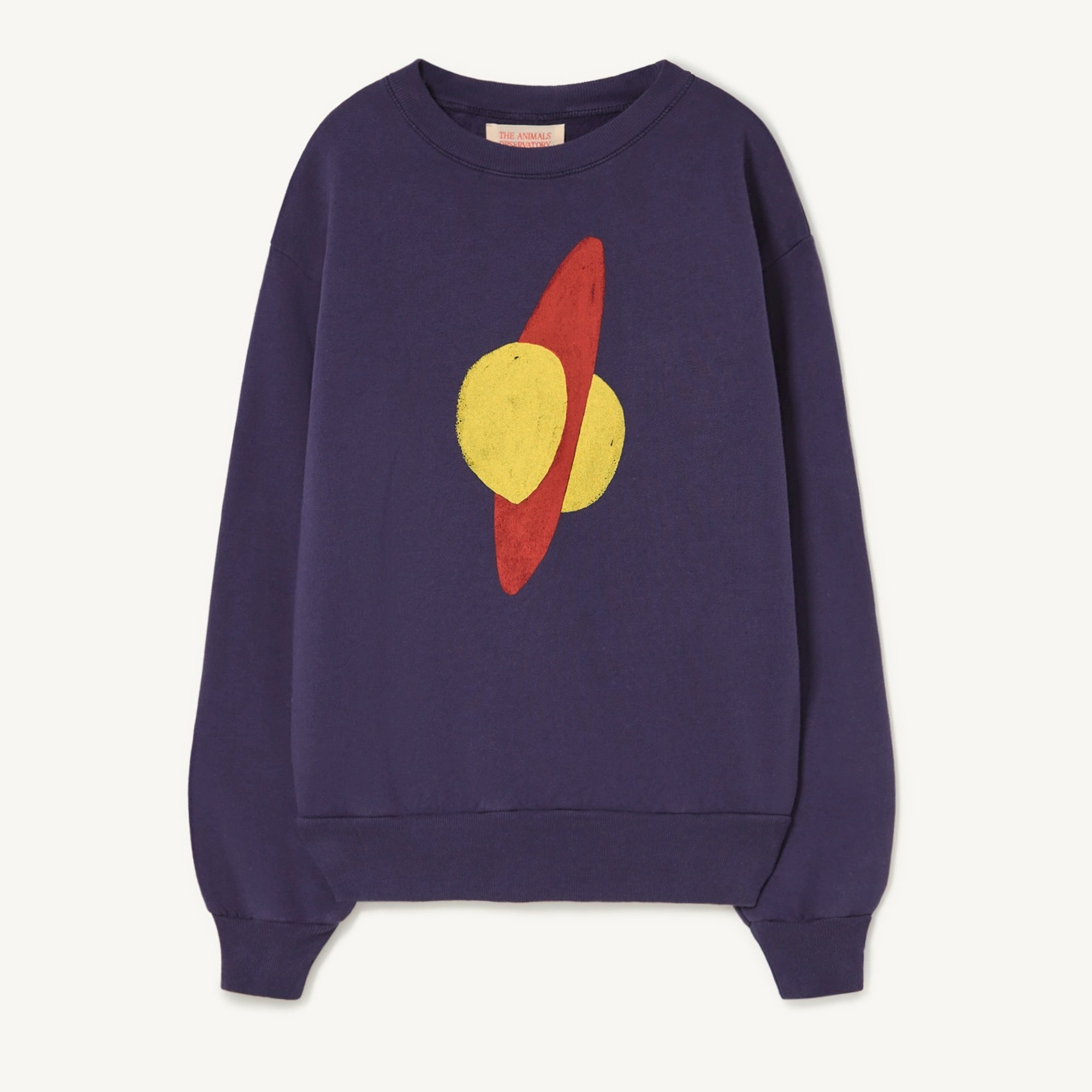 Boys & Girls Blue Printed Cotton Sweatshirt